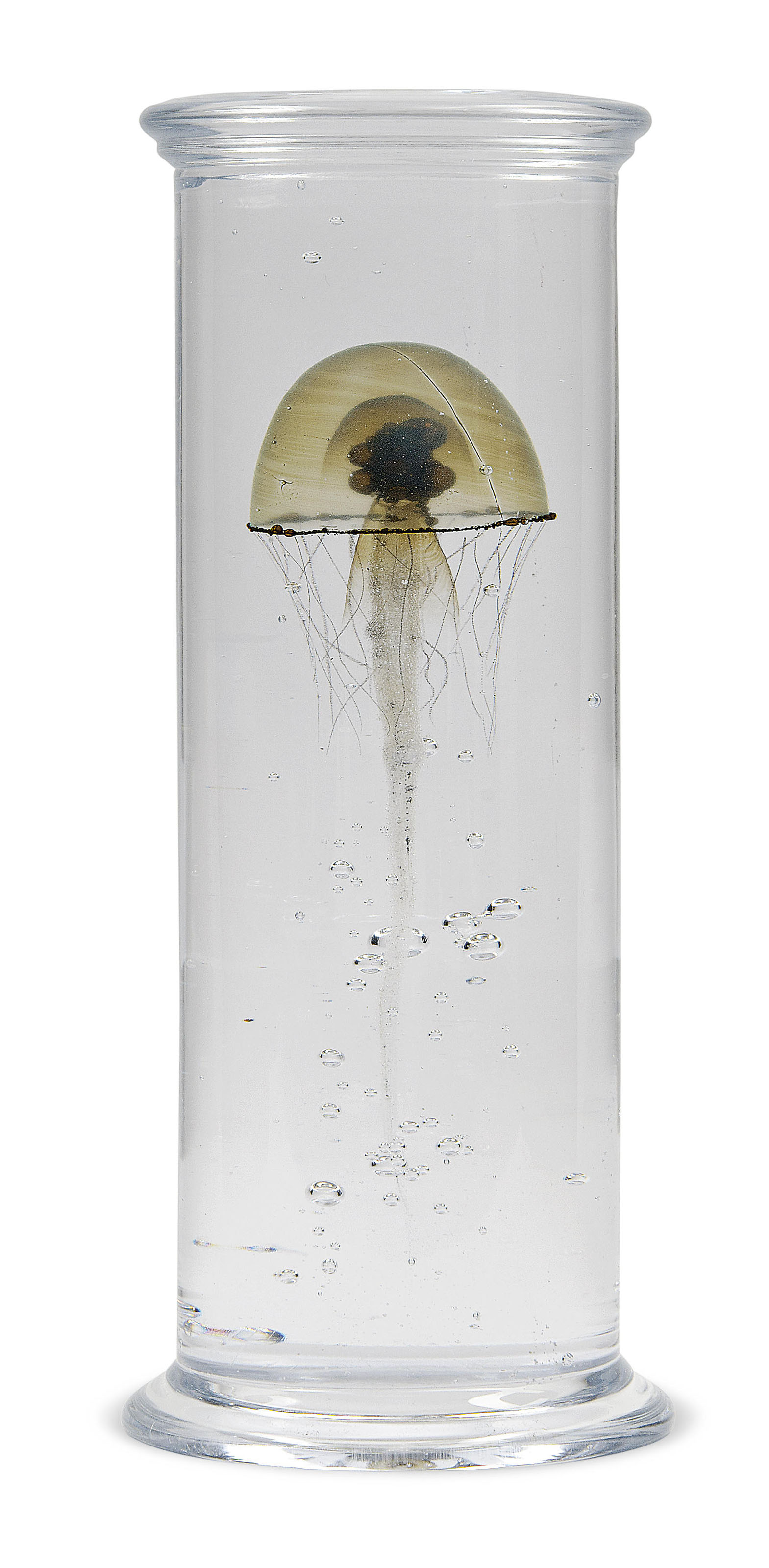 A DANISH GLASS MODEL OF A JELLYFISH IN A TUBE, 2014, BY