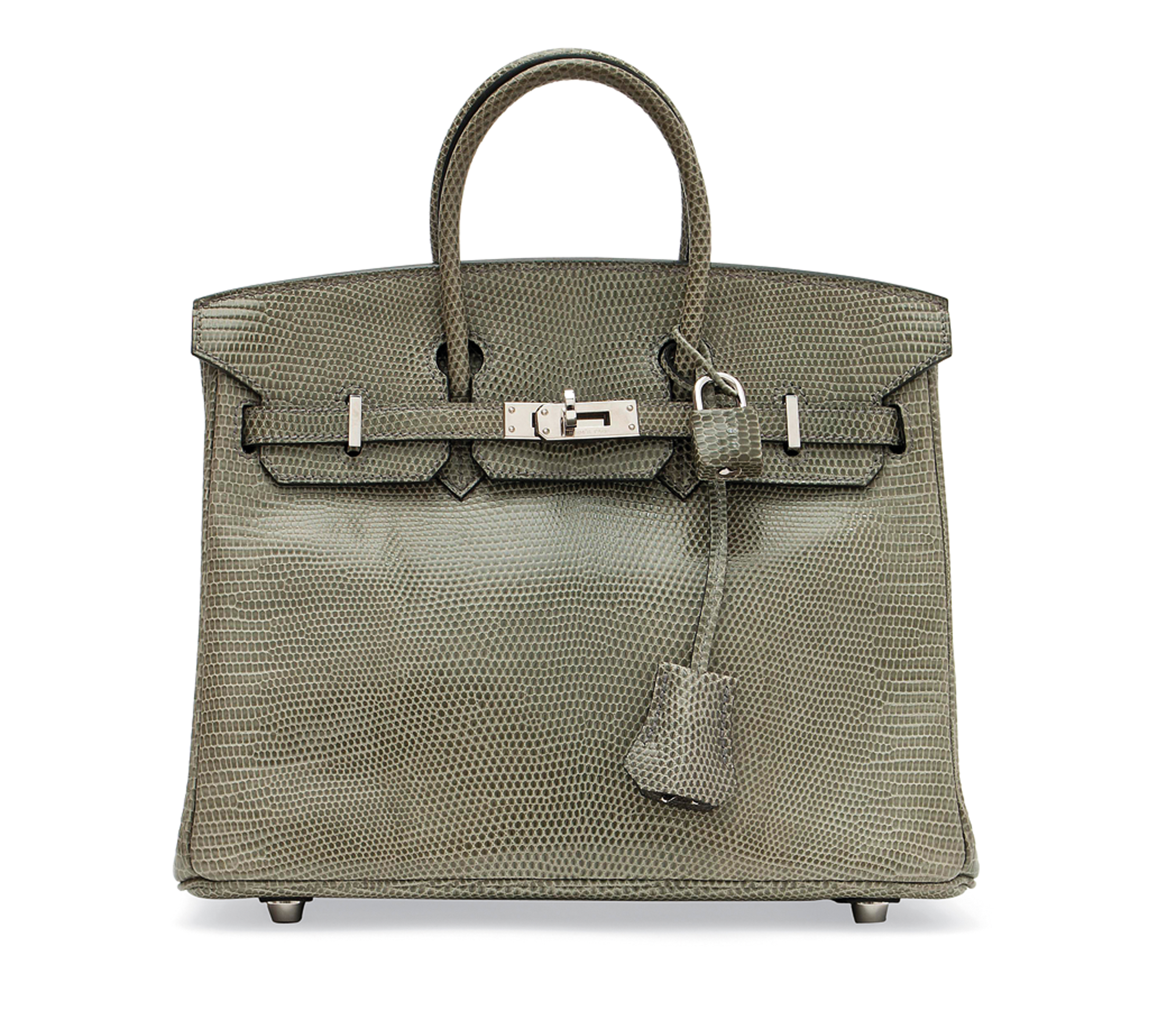 Hermes lizard outlet birkin price
