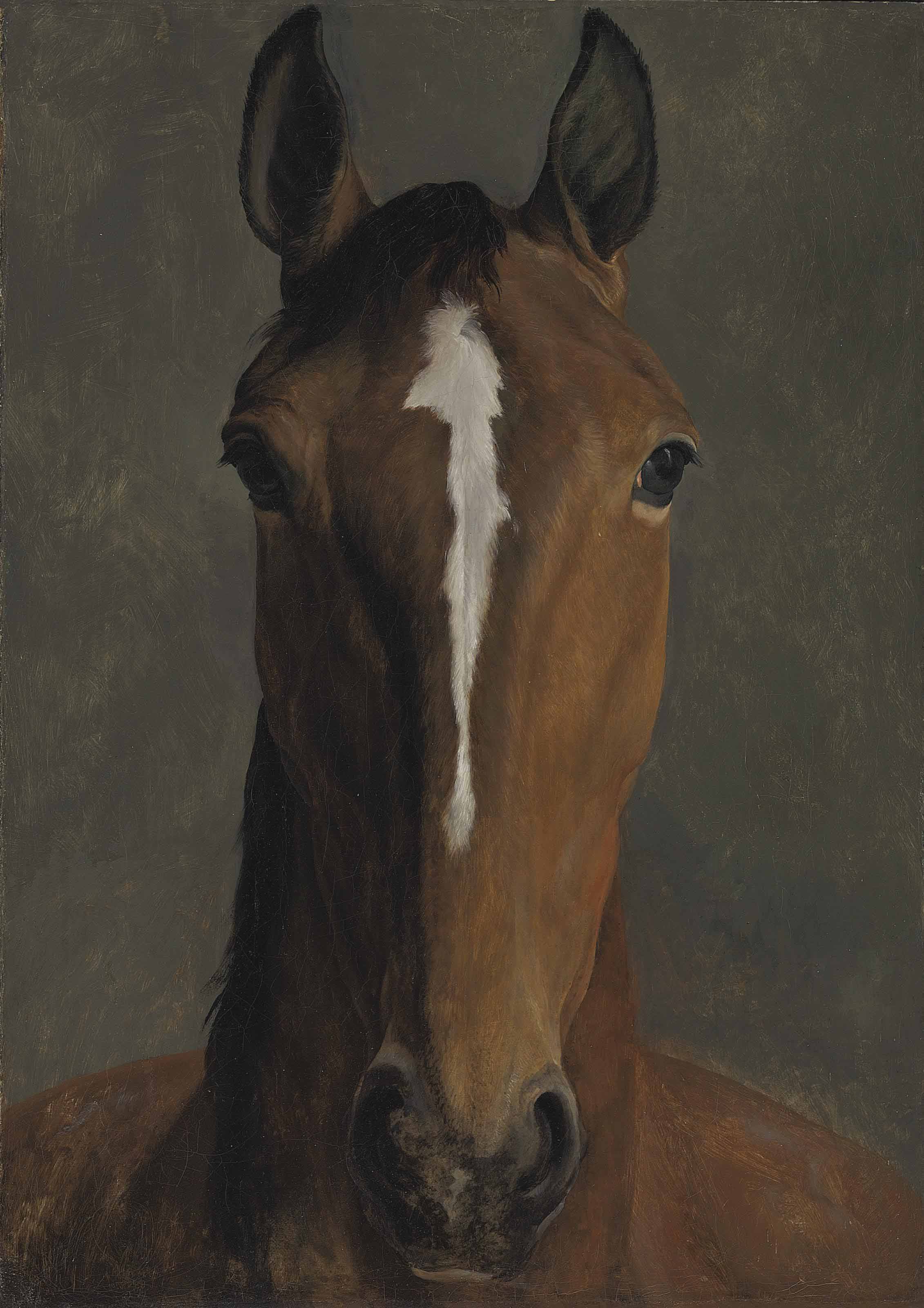 JacquesLaurent Agasse (Geneva 17671849 London) , Head of a bay horse