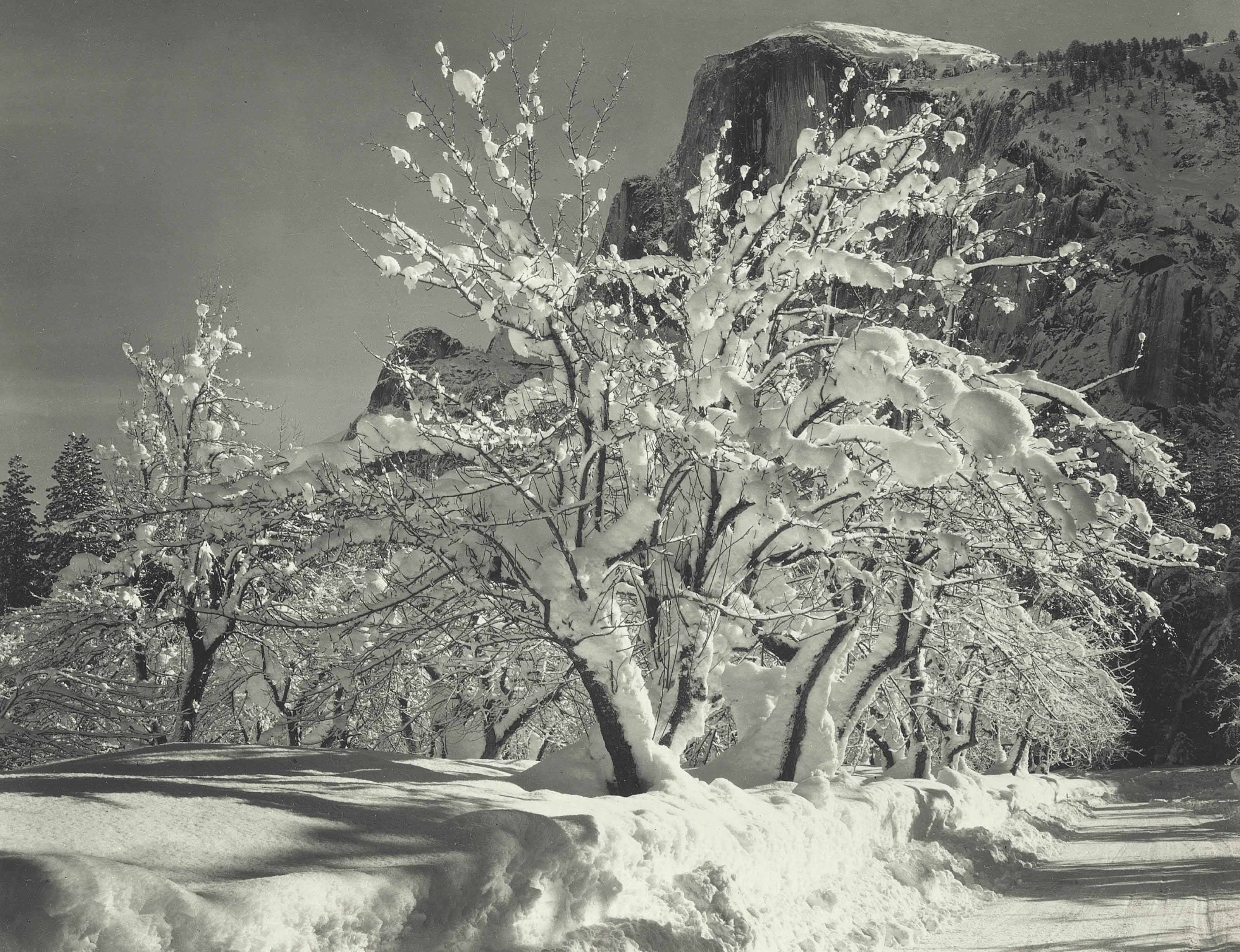 ANSEL ADAMS (1902 1984) Winter Yosemite Valley c 1932 Christie #39 s