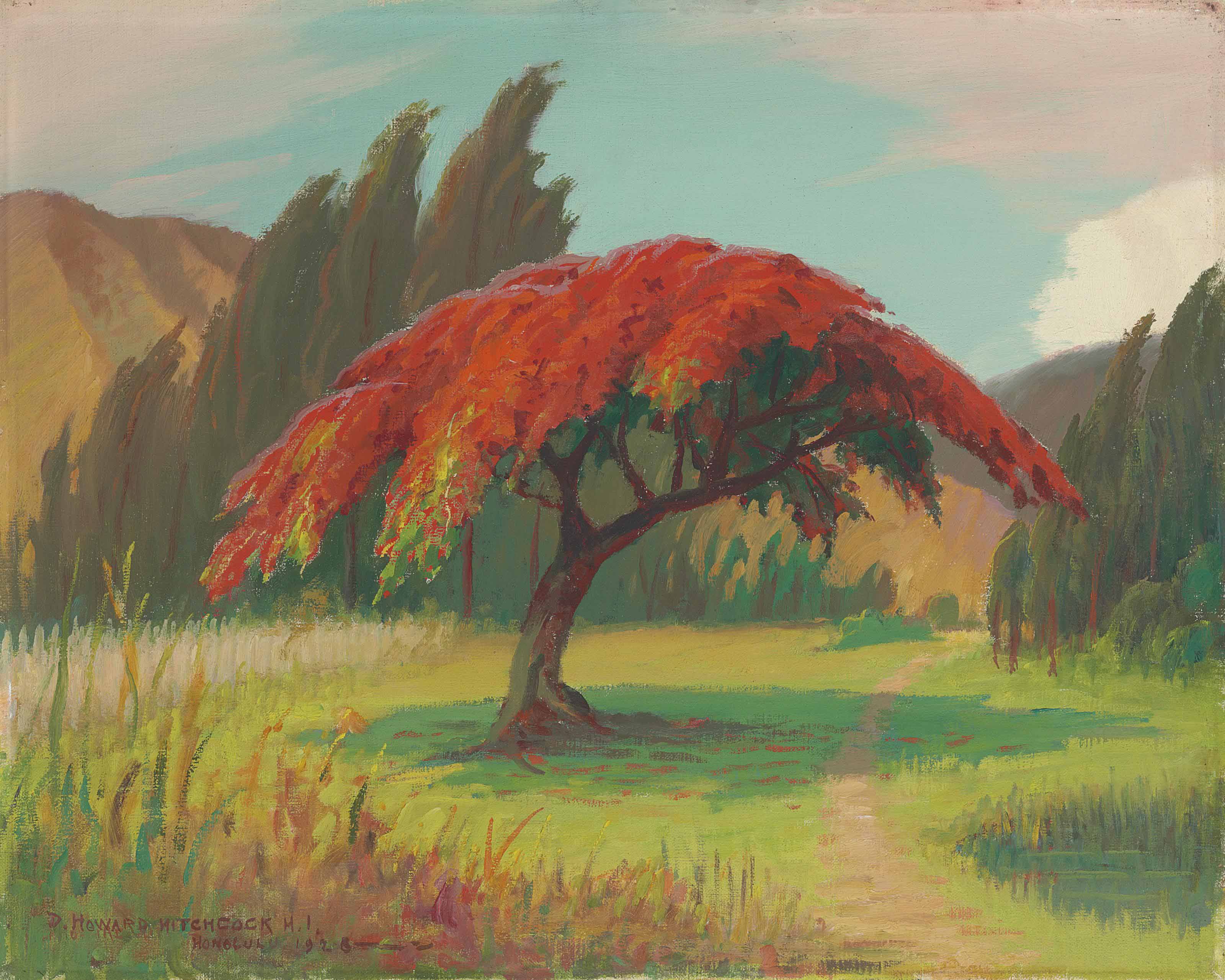 David Howard Hitchcock 1861 1943 Royal Poinciana In Full Bloom Honolulu Hawaii Paintings Oil Christie S