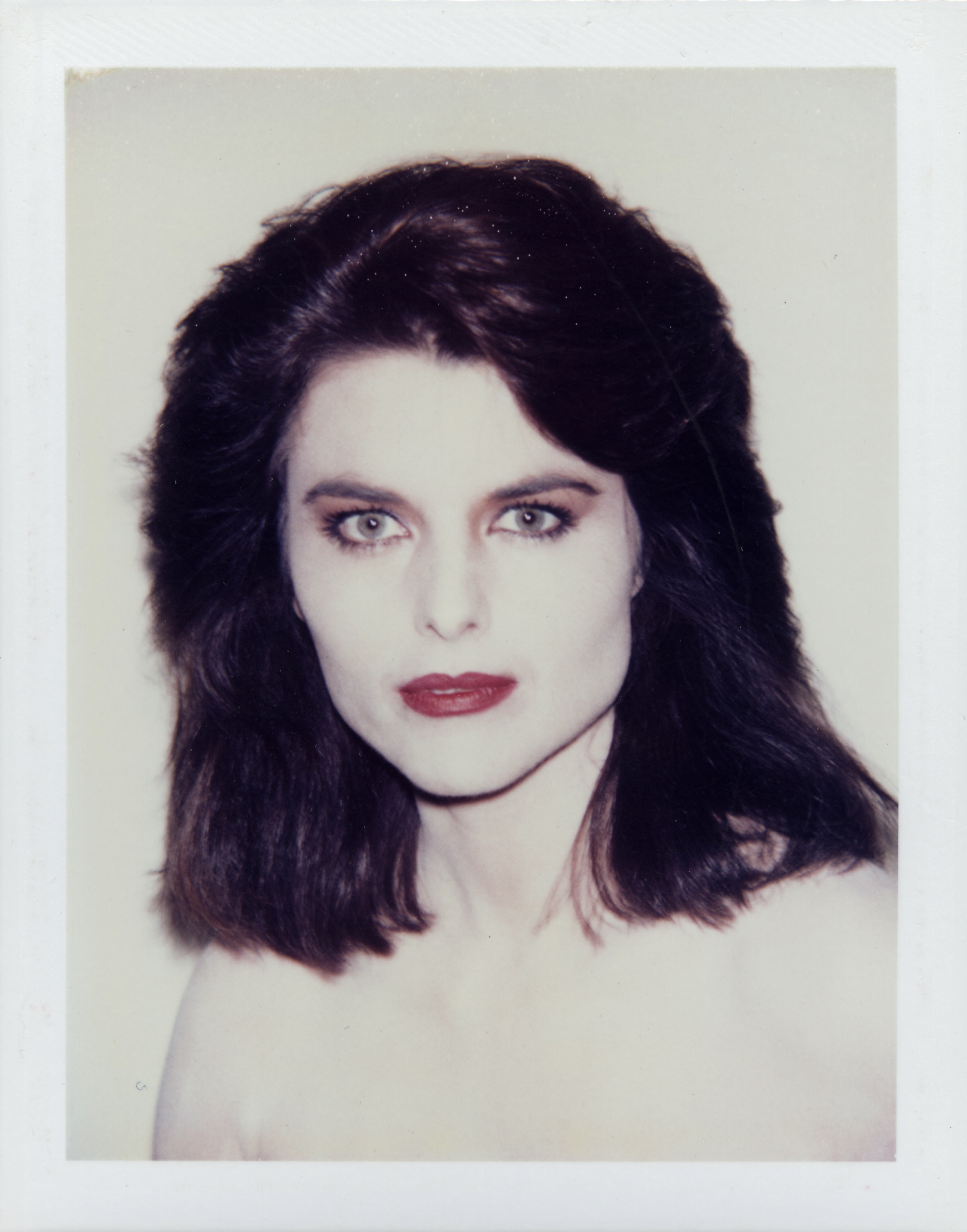 Maria Shriver, ANDY WARHOL (1928-1987) | Christie's
