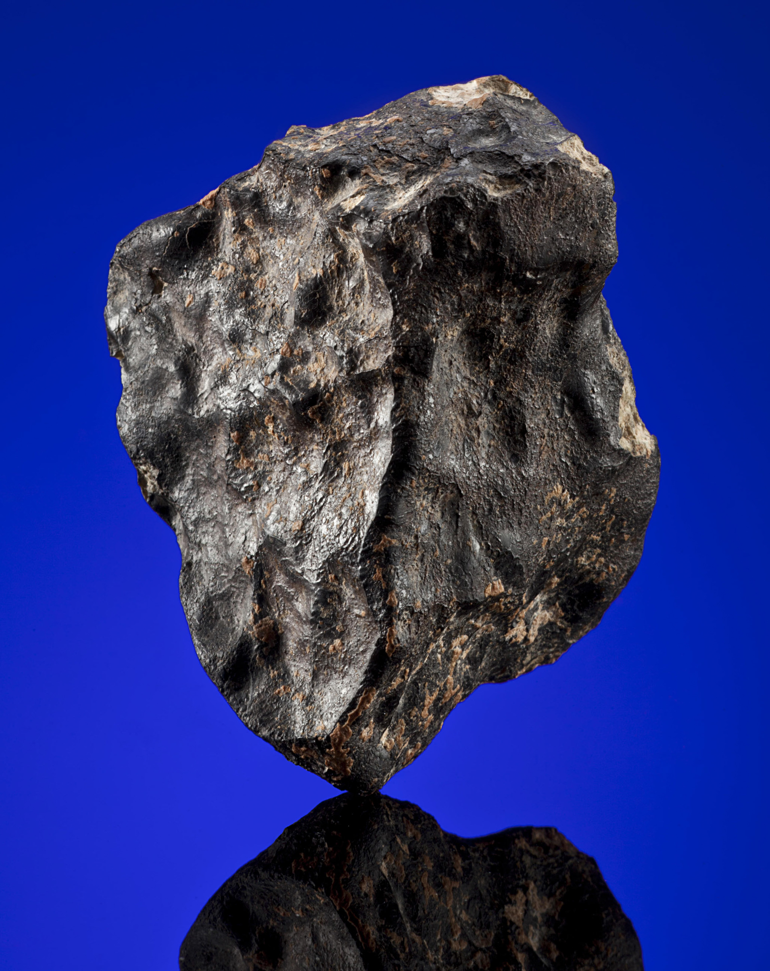 A complete meteorite from the planet Mars, NWA 7397, discovered in Smara, Morocco, 2012, sold for $43,750 on 25 November 2014 at Christie's Online