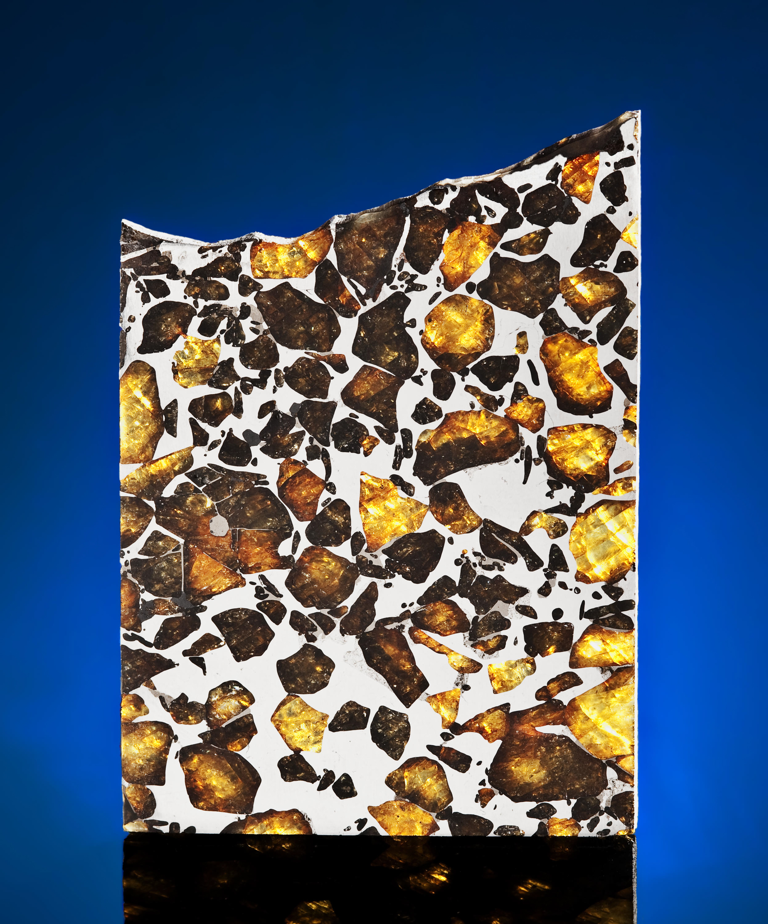 A Partial Slice of Imilac Meteorite, DISCOVERED IN THE ATACAMA