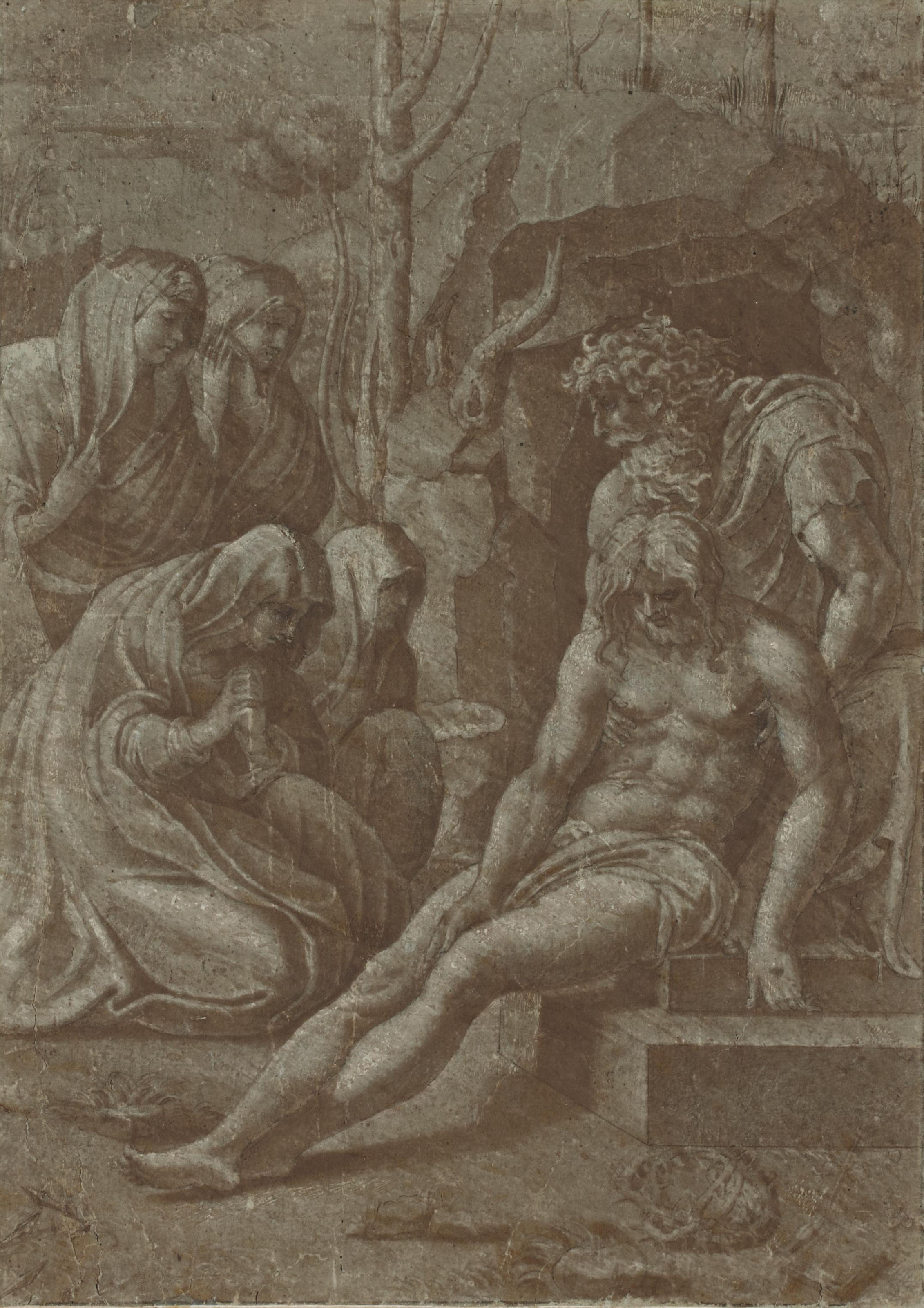 Raphael the painter facts image