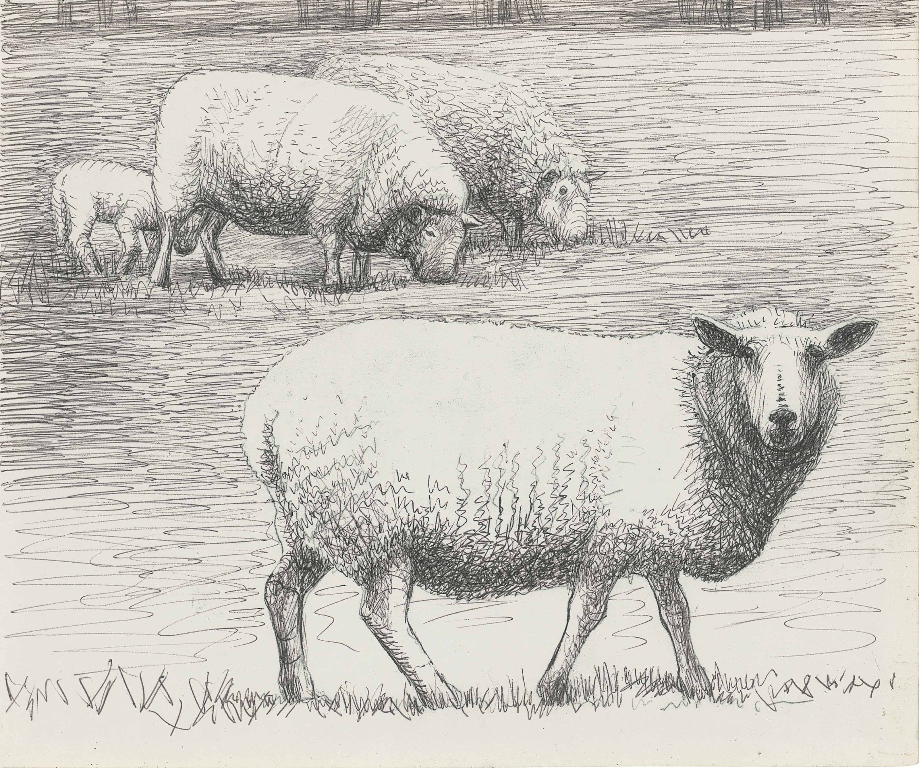 Sheep in Landscape