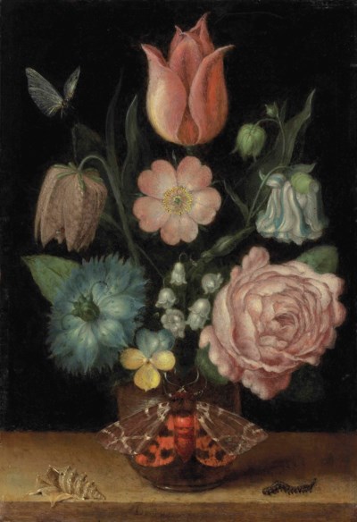 Jacques de Gheyn II (Antwerp 1565-1629 The Hague) , A tulip, a