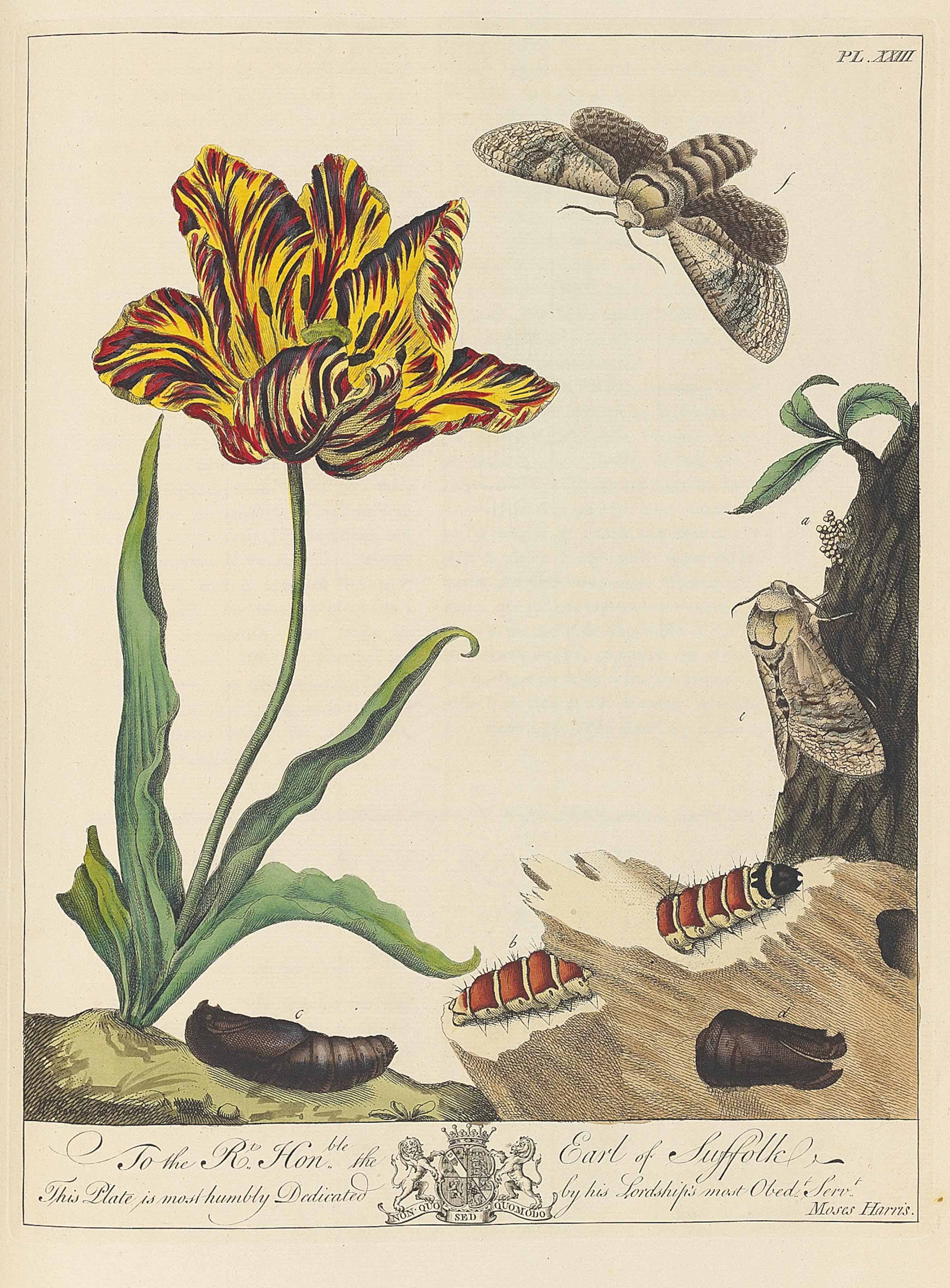 MOSES HARRIS (1730c.1788) Christie's