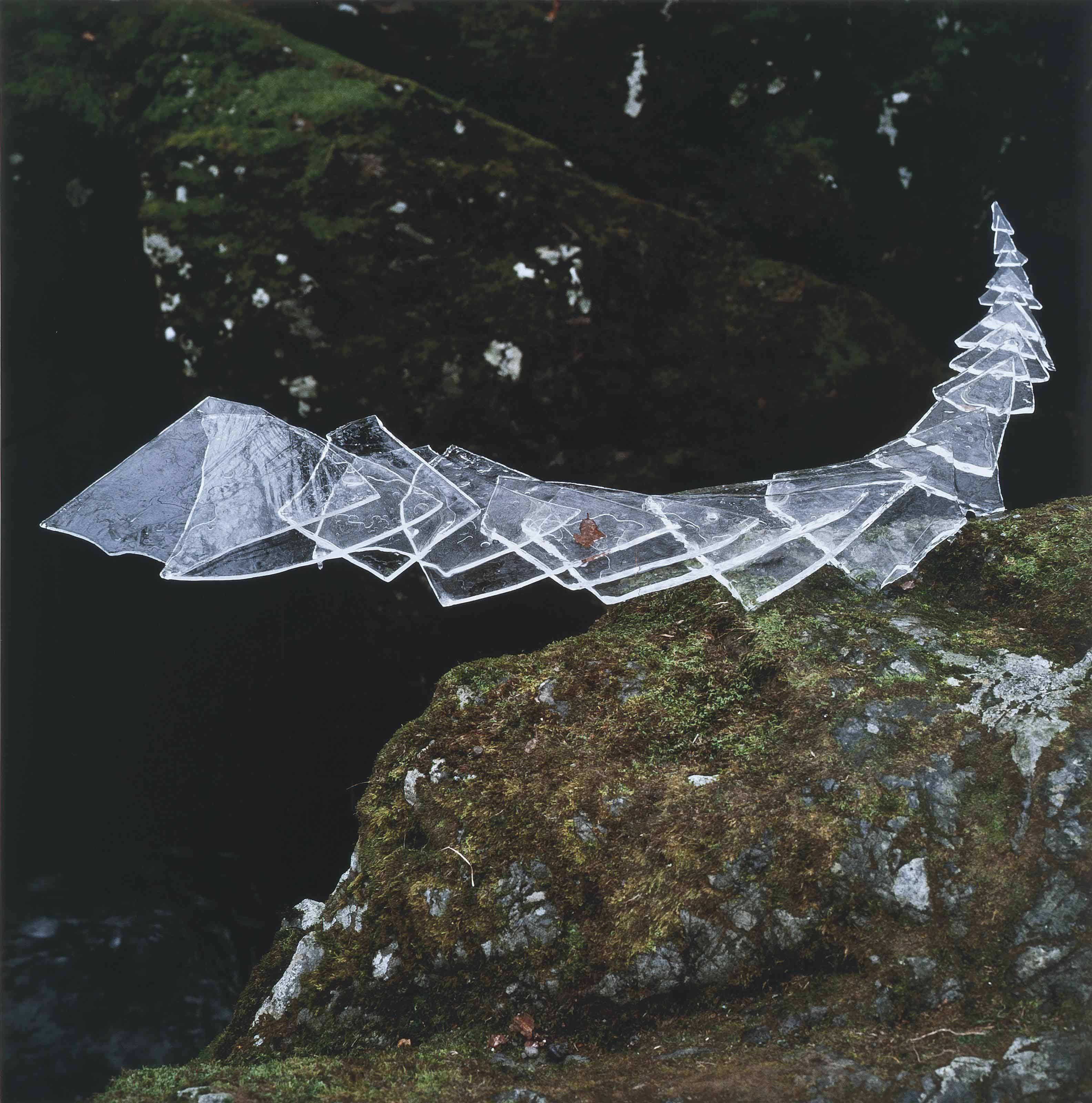 Andy Goldsworthy (b. 1956) , Ice, each piece frozen to the next, around