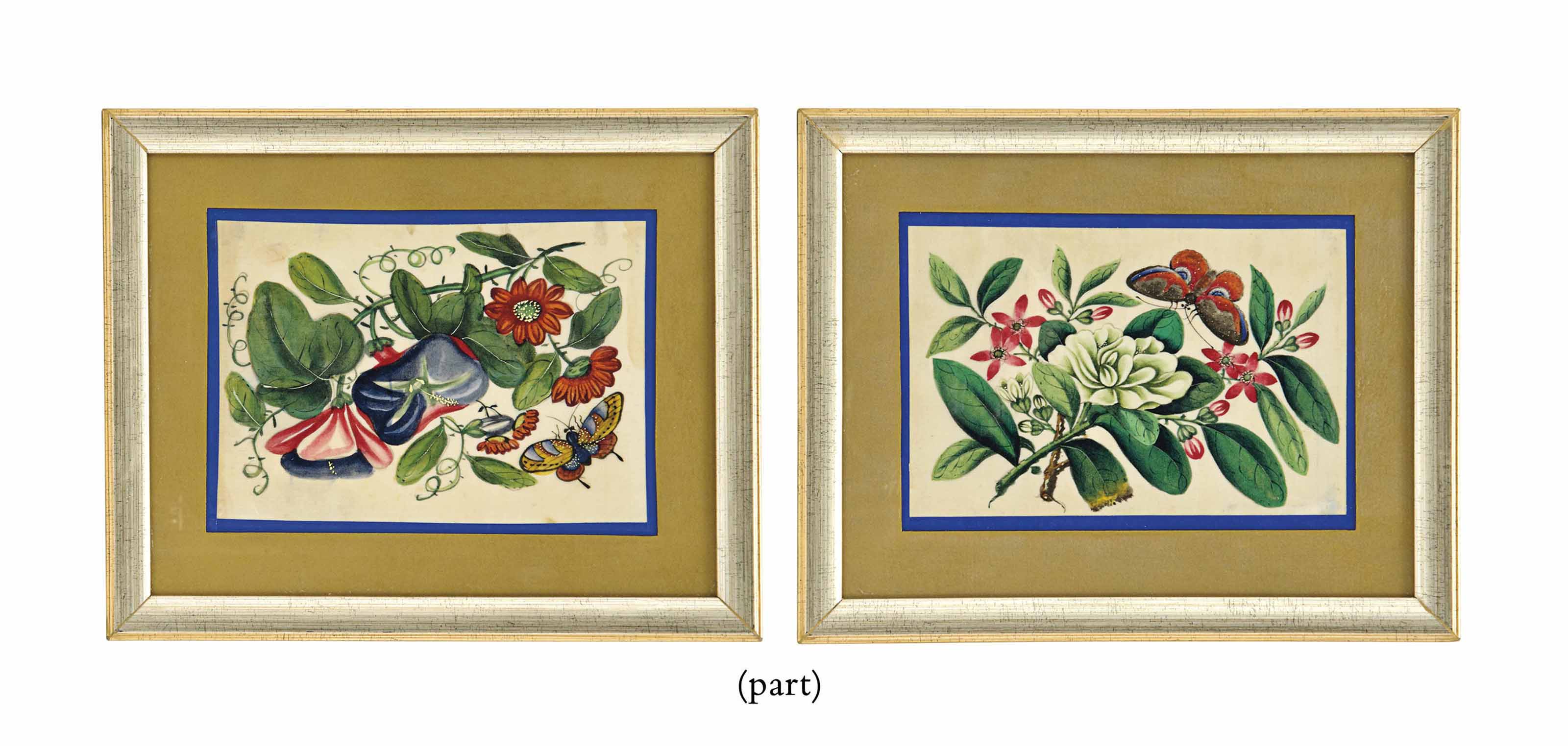 A Set Of Twelve Chinese Butterfly And Flower Rice Paper
