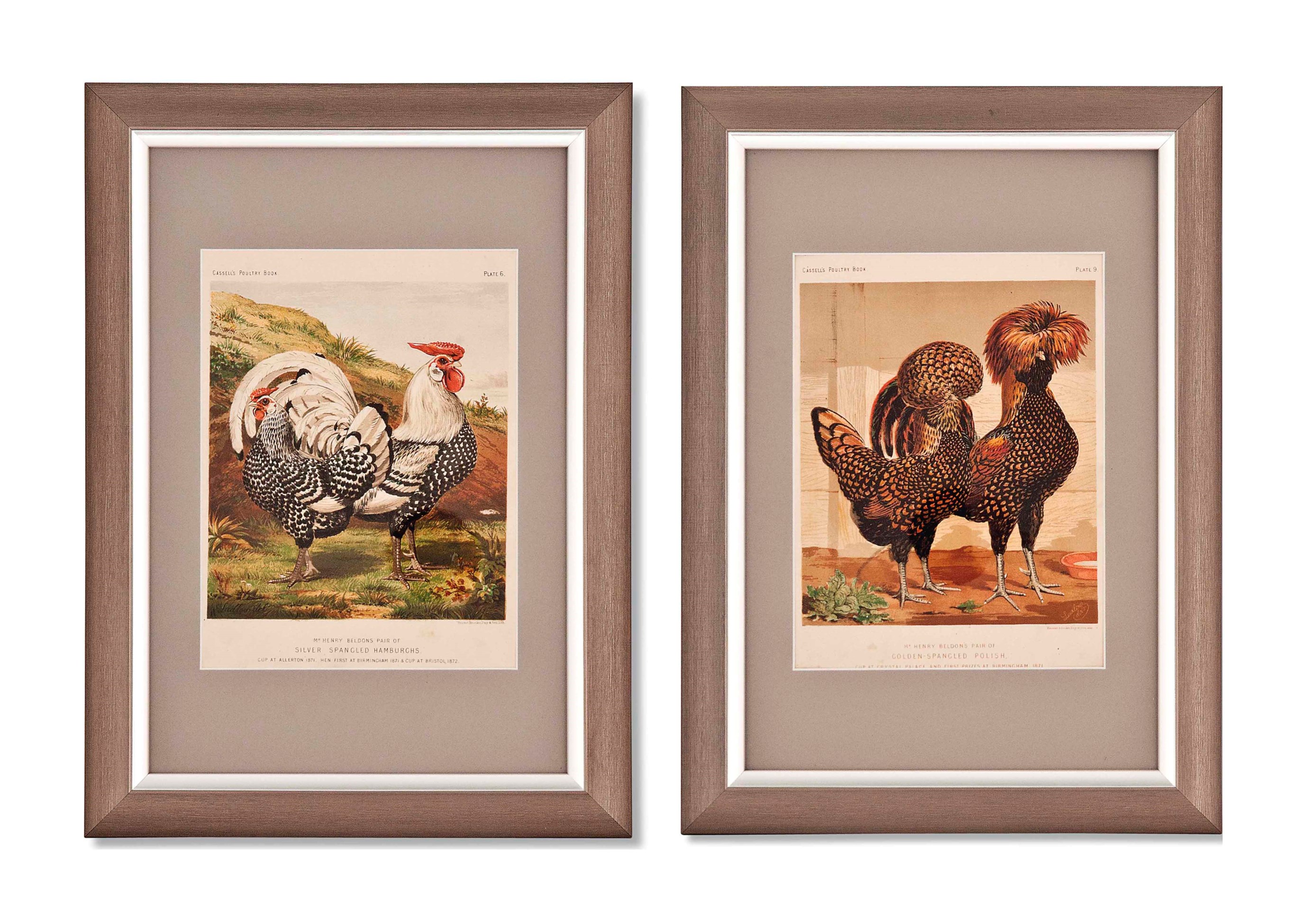 TWELVE VICTORIAN LITHOGRAPHS FROM CASSELL'S POULTRY BOOK, LEWIS WRIGHT