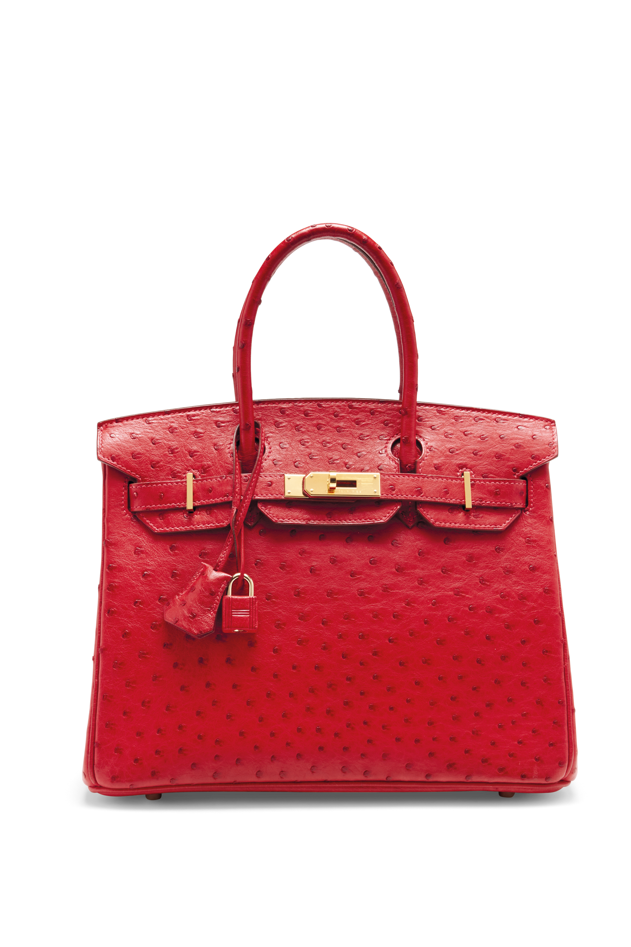 Ostrich skin birkin bag new arrivals