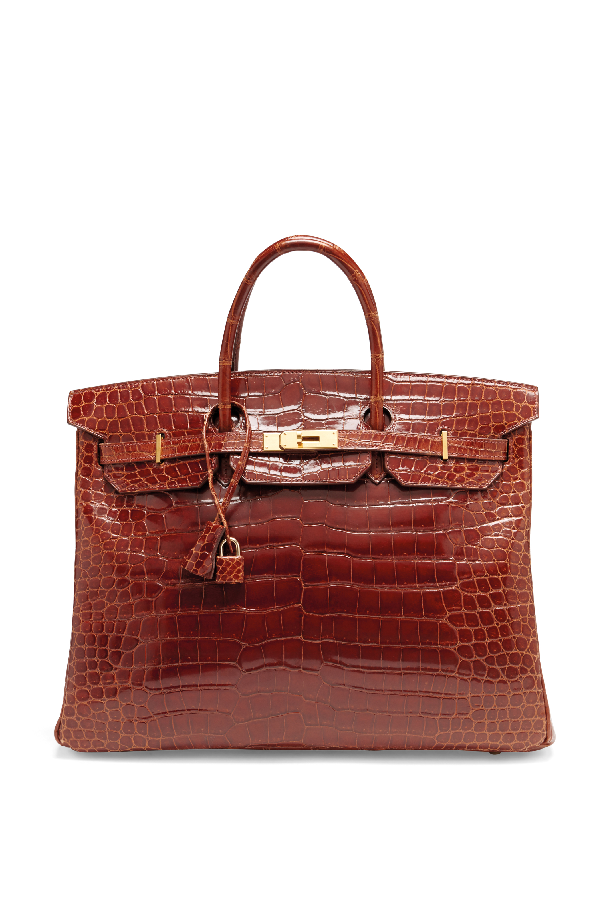 Birkin porosus 2025 crocodile