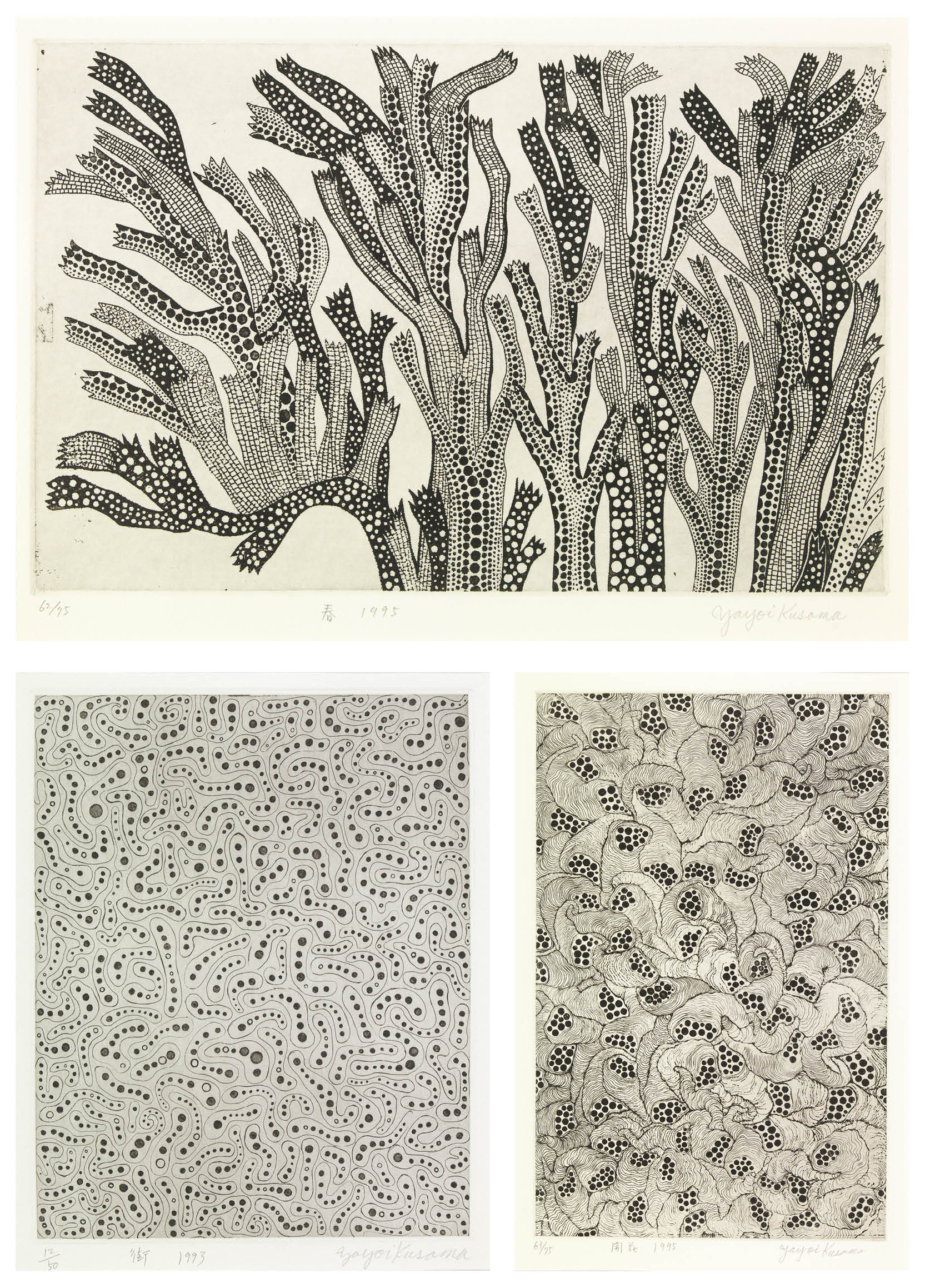 KUSAMA落書き クイーンズに建つ落書きまみれの名物ビル「5 Pointz