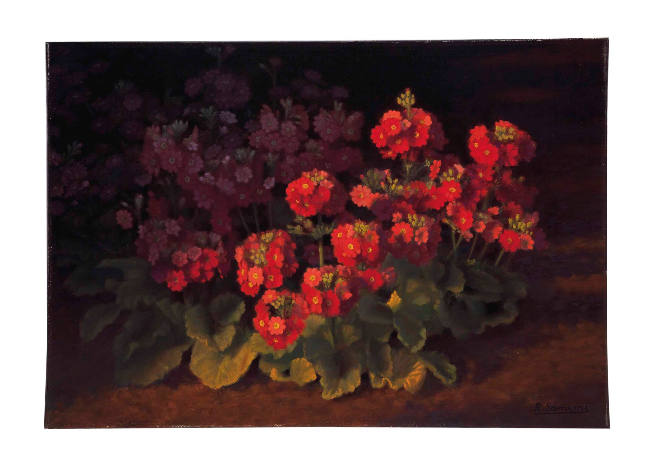REZA SAMIMI (Persian, B. 1919), Geraniums | Christie's