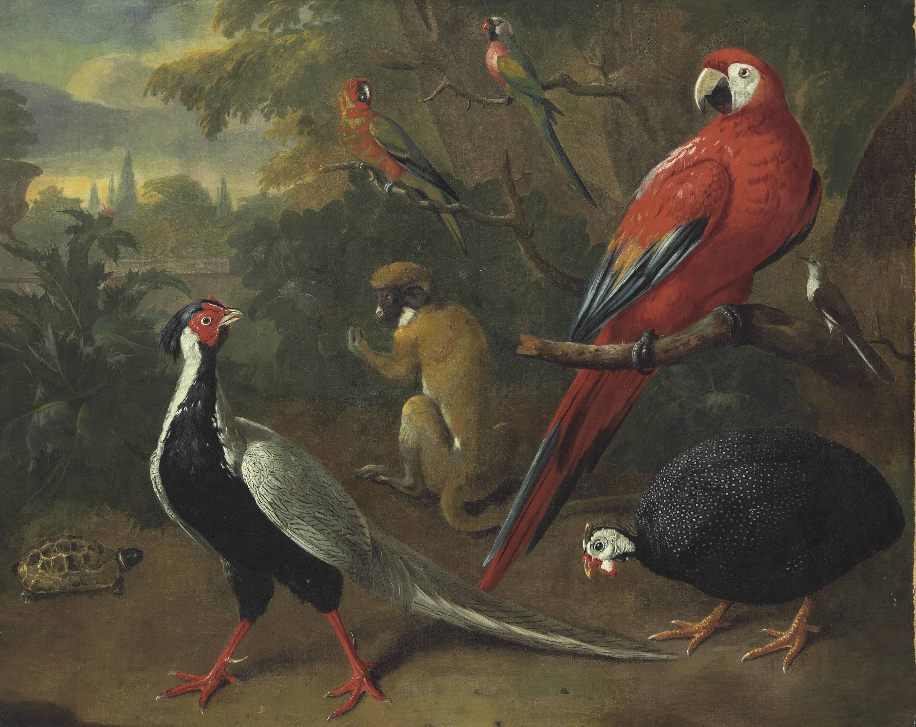 Charles Collins Dublin 1680 1744 London A Scarlet Macaw