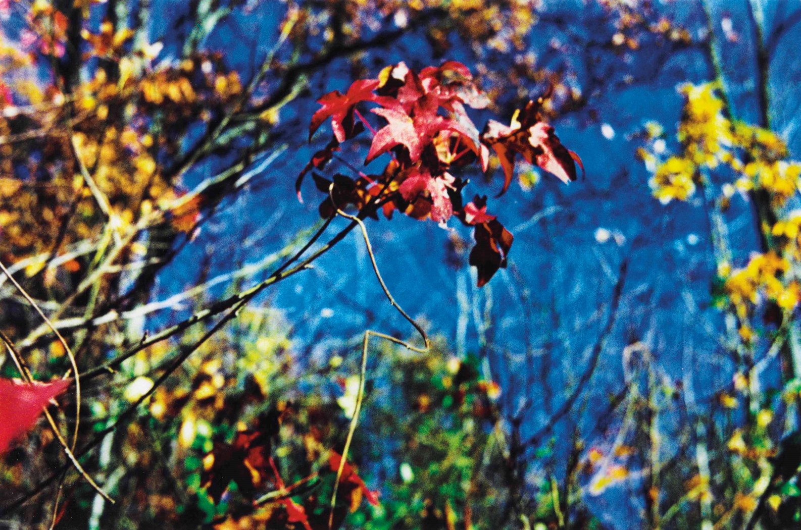 William Eggleston (b. 1939), Untitled, 1992 Christie's