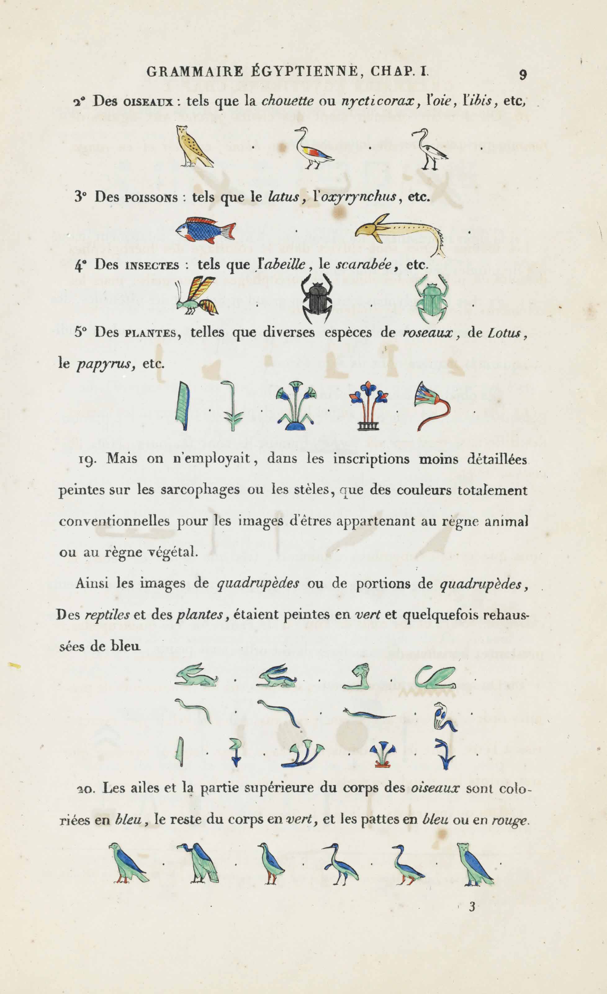 Champollion Jean Francois 1792 12 Grammaire Egyptienne Ou Principes Generaux De L Ecriture Sacree Egyptienne Appliquiee