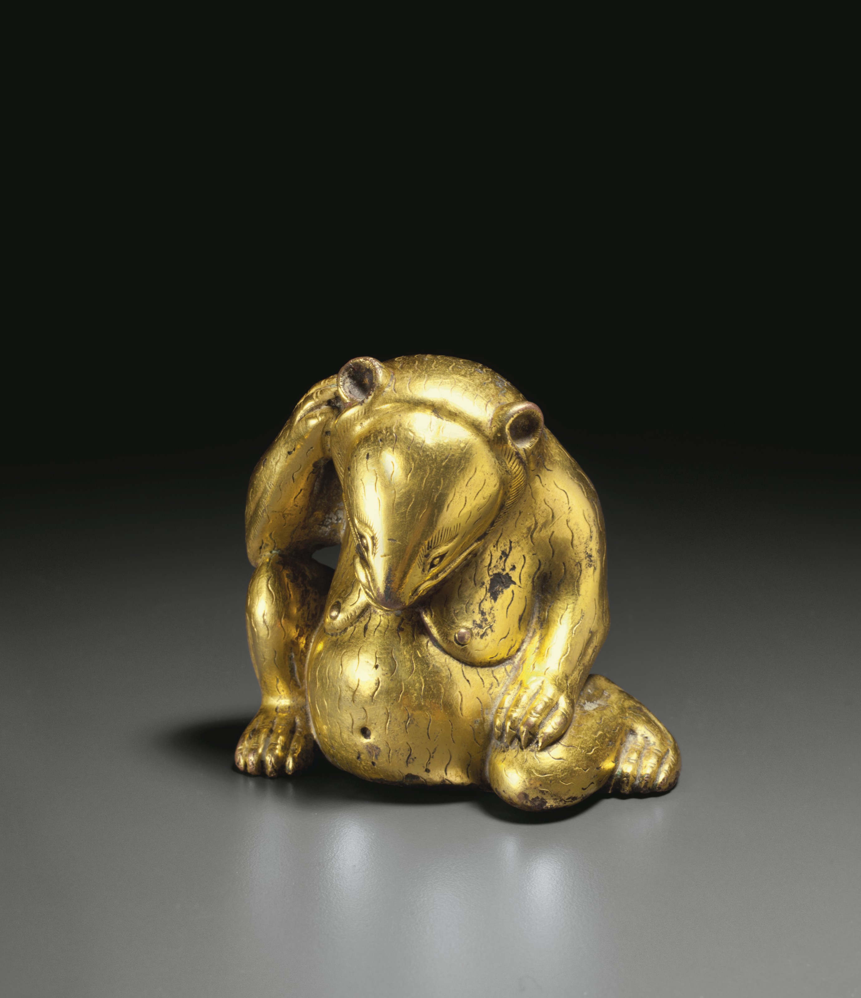 Chinese bear