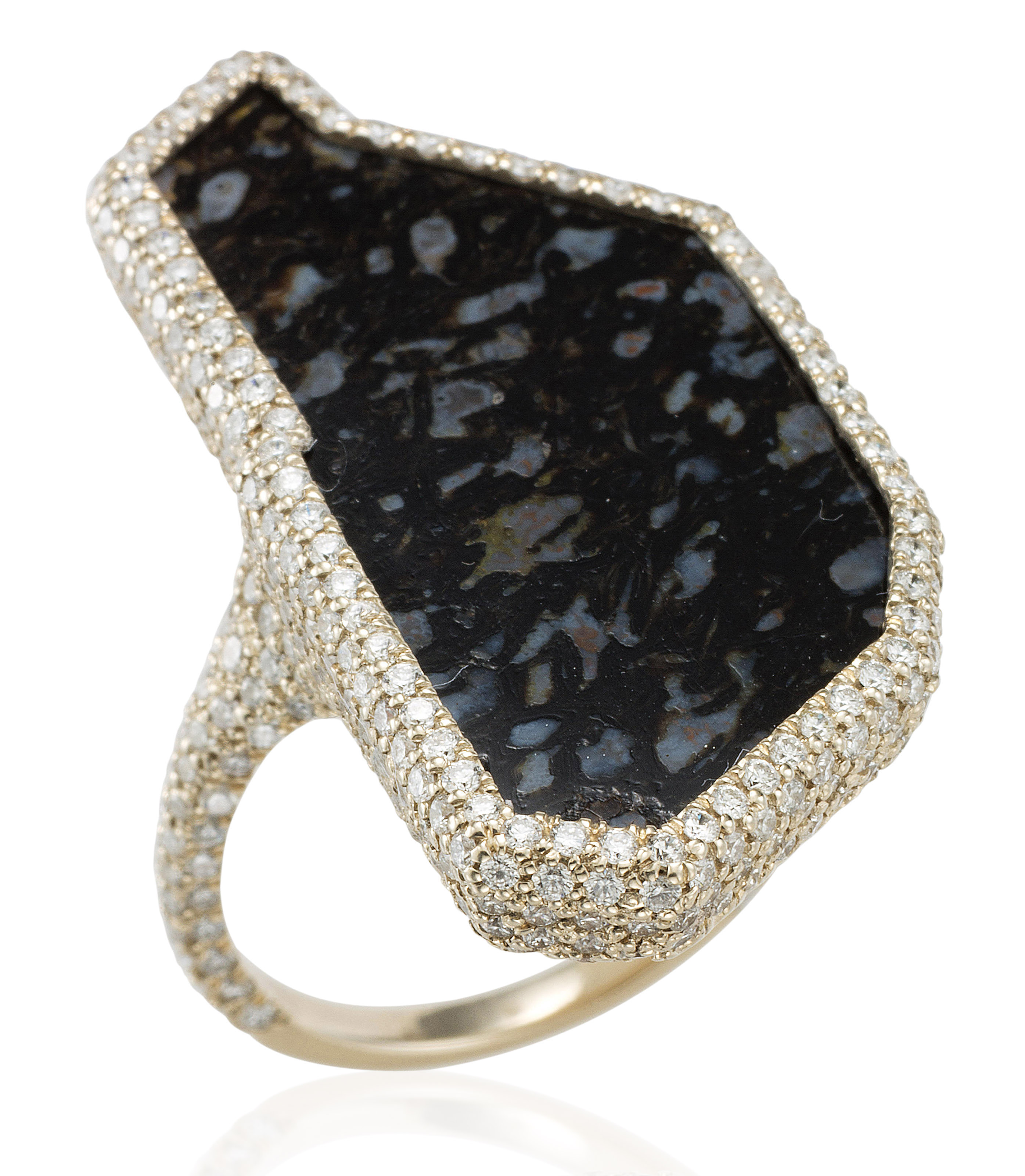 A FOSSILIZED DINOSAUR BONE AND DIAMOND RING MONIQUE PEAN Christie s