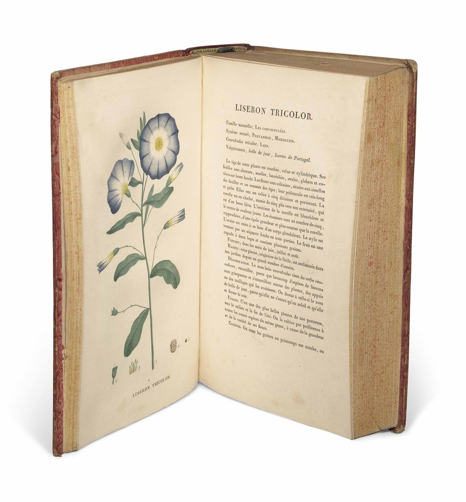 Jean Henri JAUME SAINTHILAIRE (17721845). Plantes de la France décrites et peintes d’après