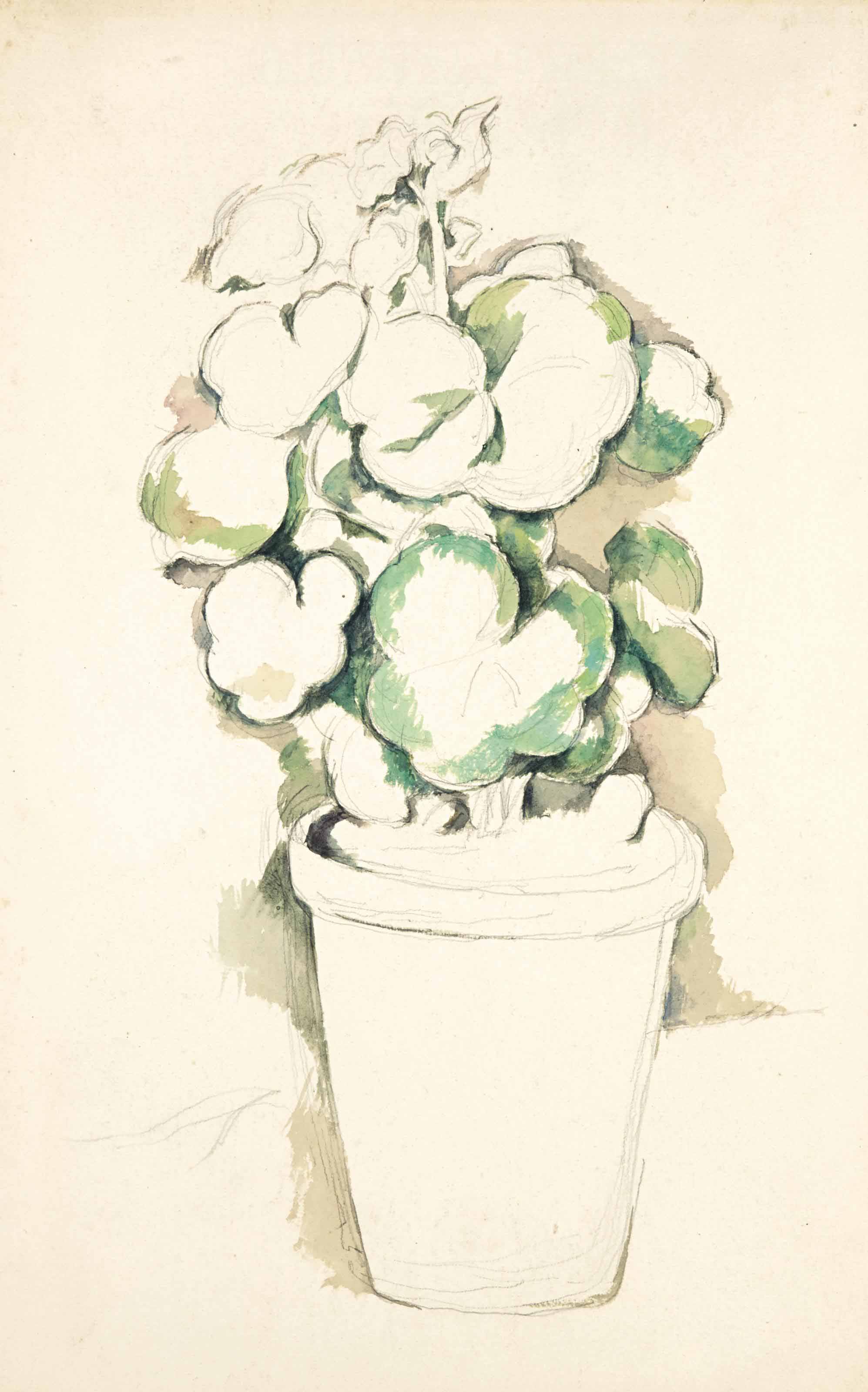 Paul Cézanne 1839 1906 Pot De Géraniums Late 19th