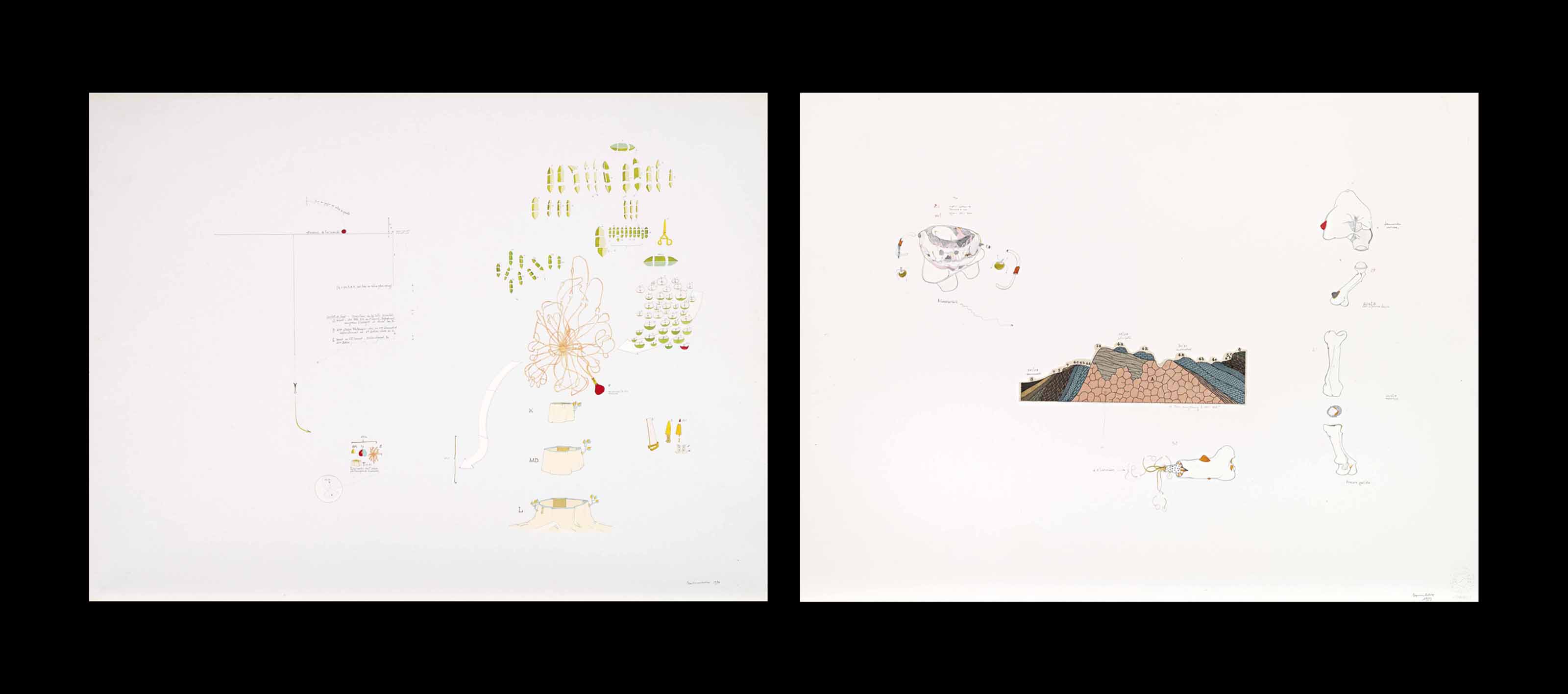 Gianfranco Baruchello (N. 1924) , Gianfranco Baruchello (N. 1924