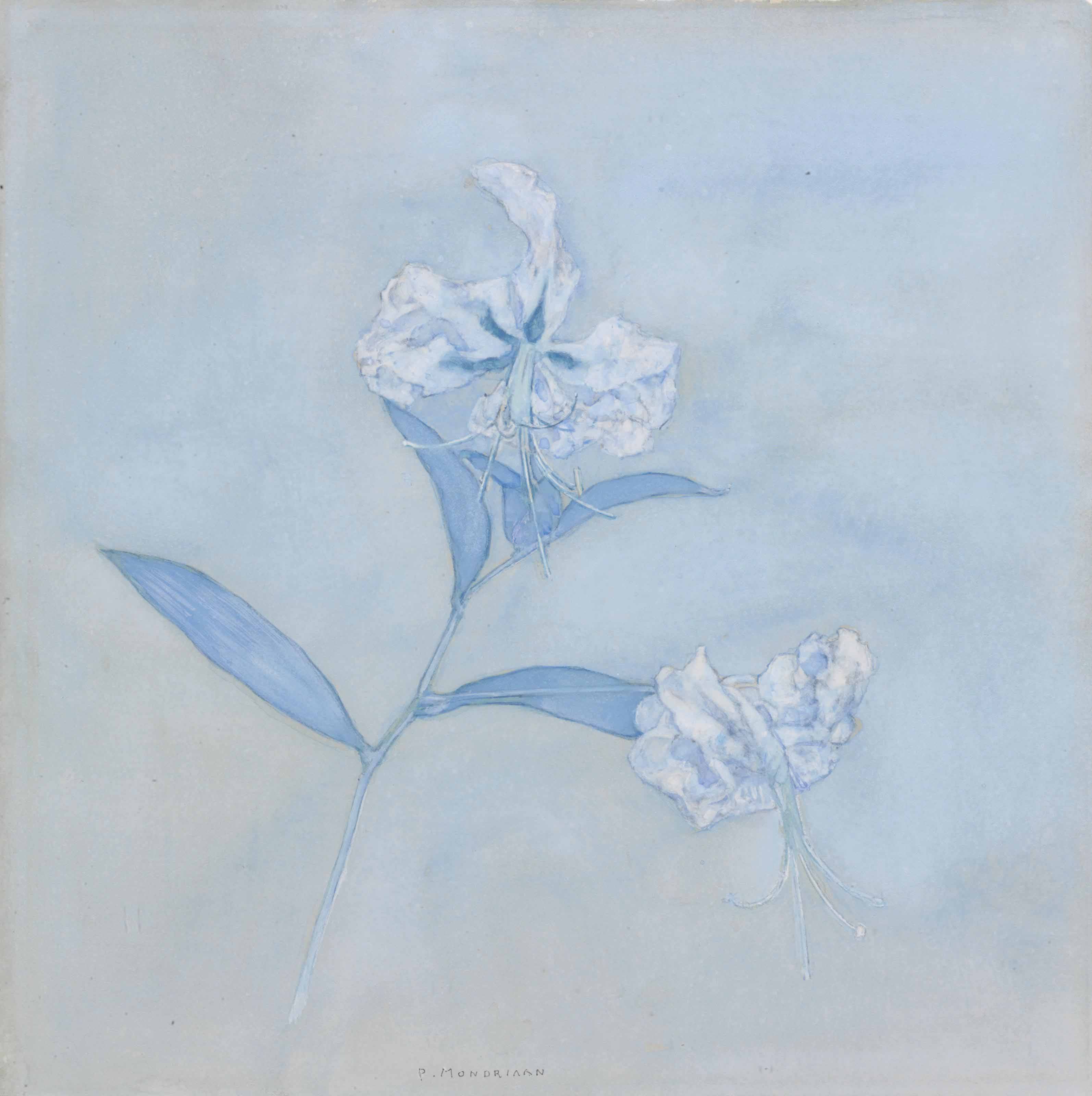 Stalk with Two Japanese Lilies