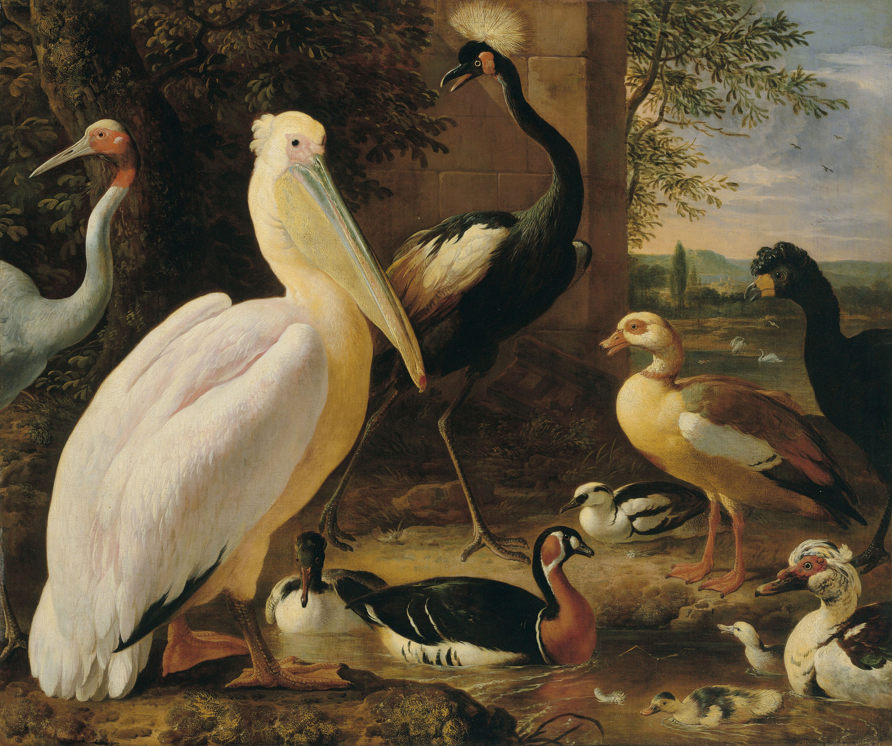 melchior-d-hondecoeter-utrecht-1636-1695-amsterdam