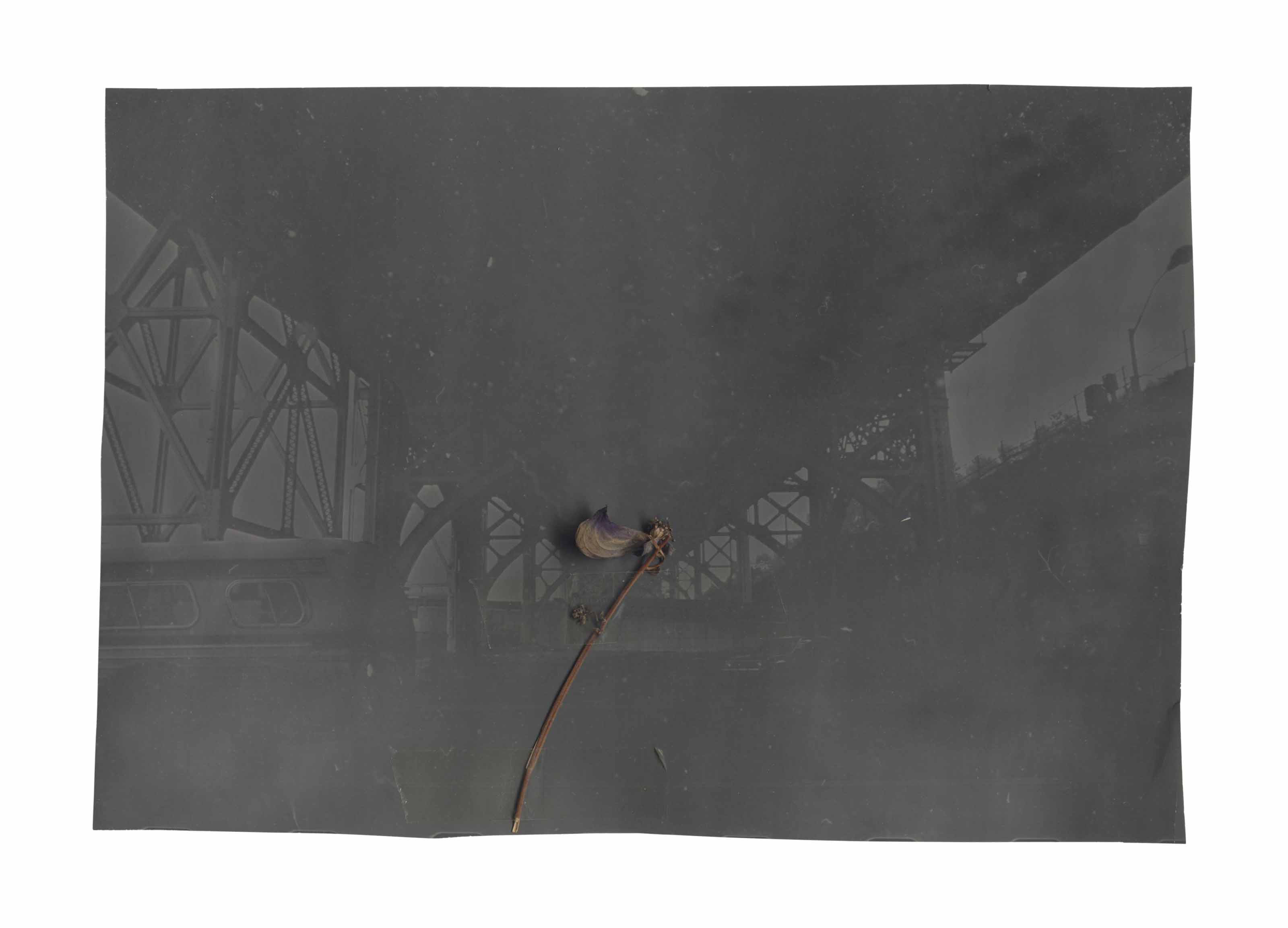 Ohne Titel (Stahlkonstruktion mit Pflanzenstengel) (Untitled (Steel Construction with Plant Stem))