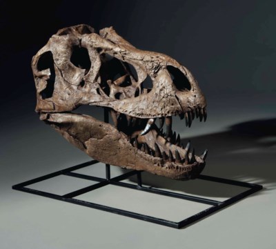 christies t rex