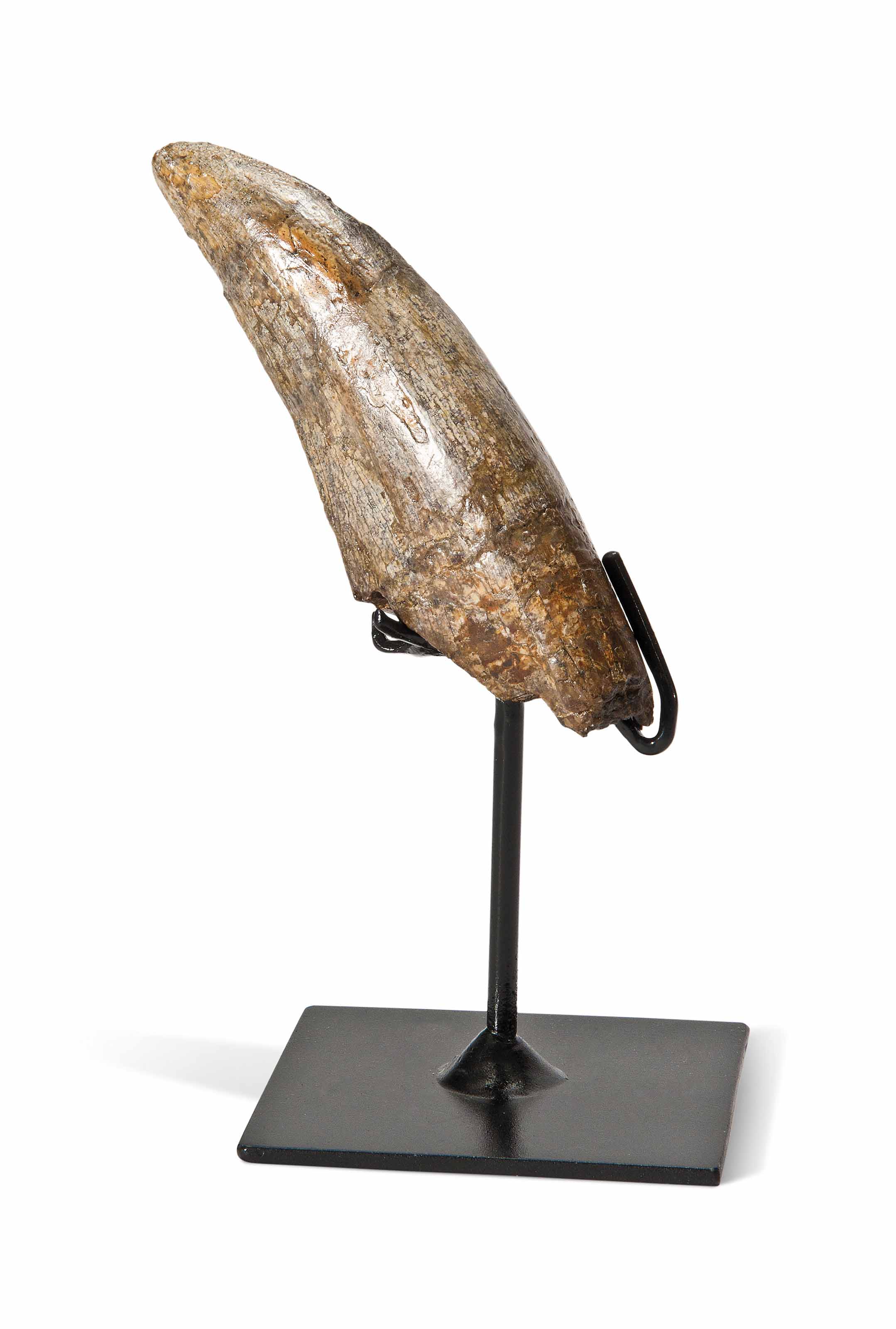 t rex christies