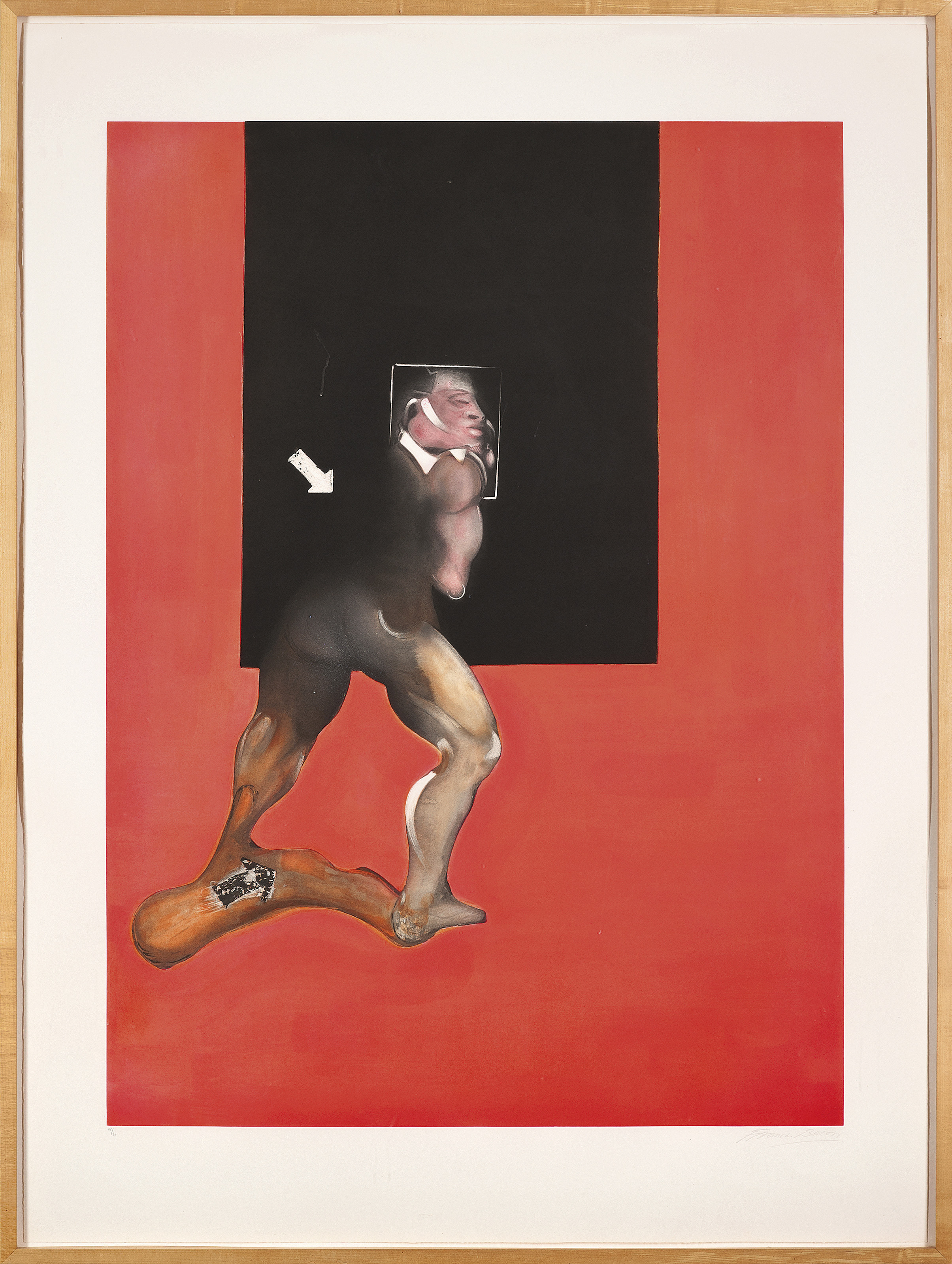 francis bacon the human body
