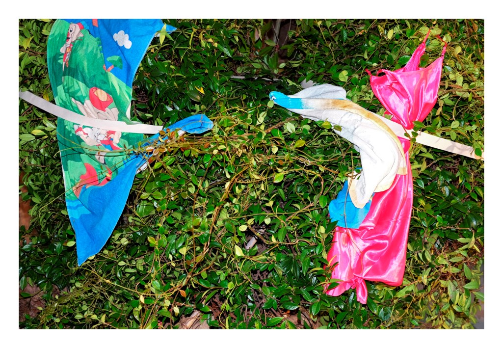 Jasmine III (27 ¾ x 40 in.)