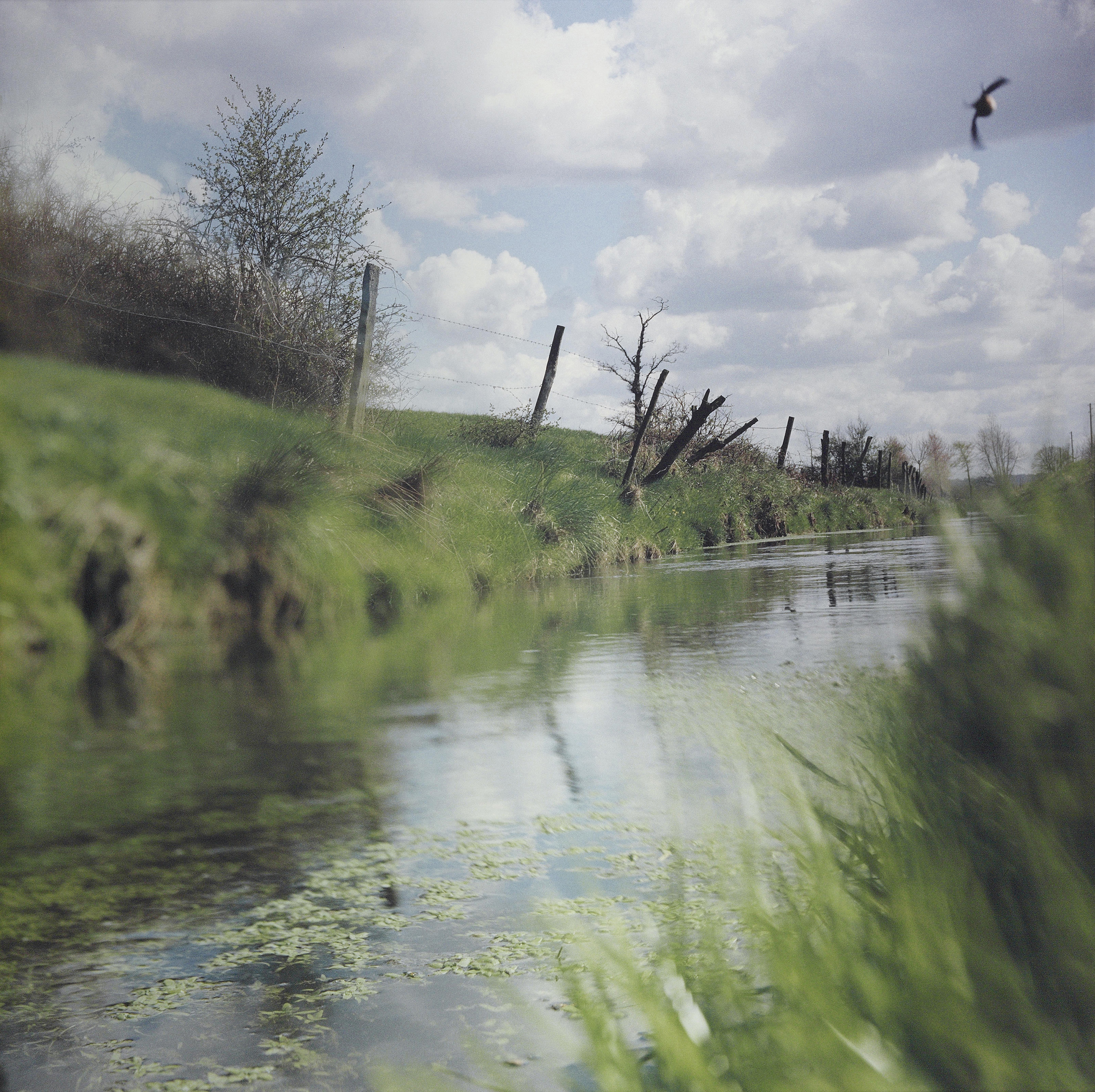 アート・デザイン・音楽 TOKYO SUBURBIA Tokyo Suburbia, 1995-1998, Takashi Homma (b. 1962) | Christie's