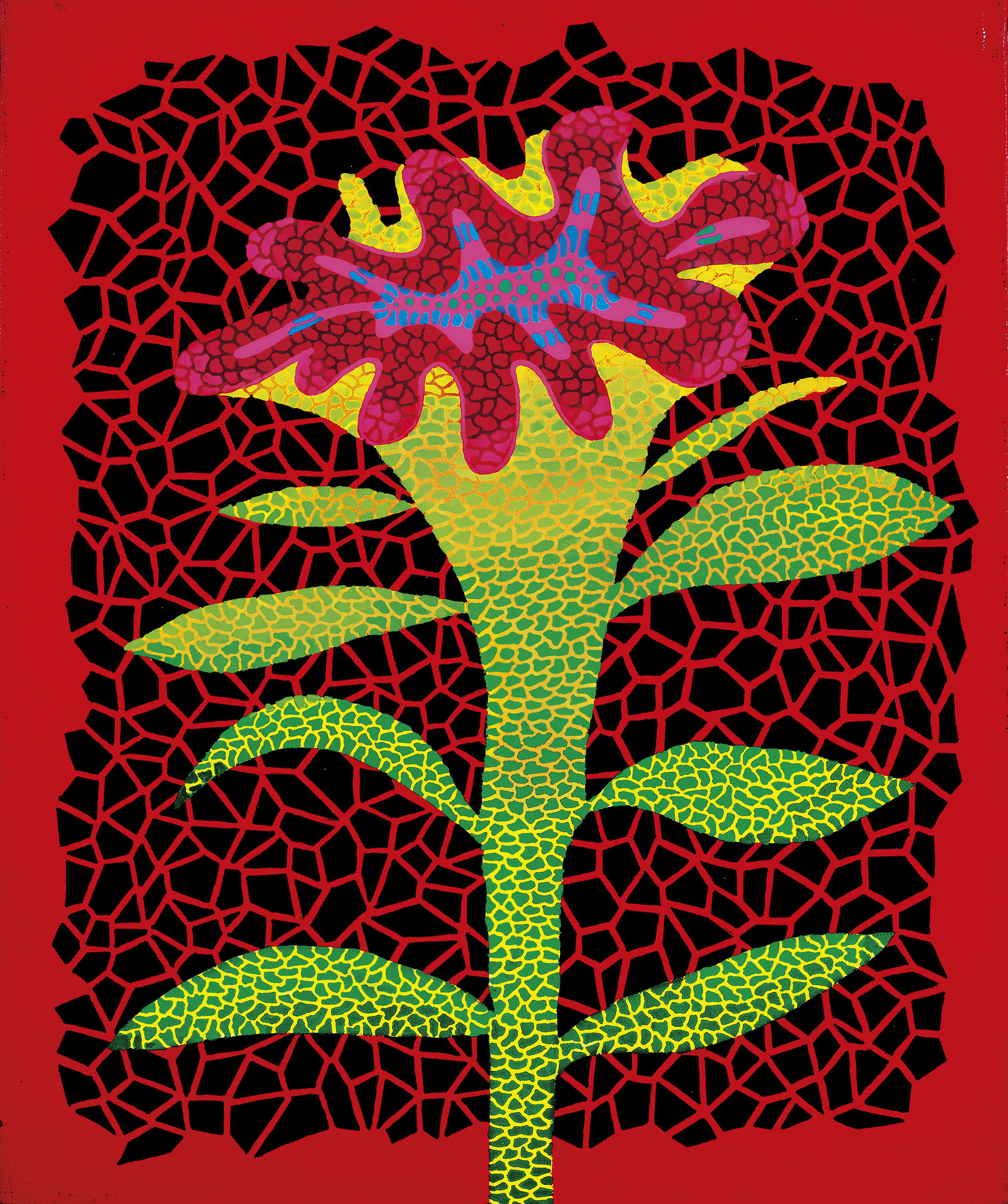 COCKSCOMB