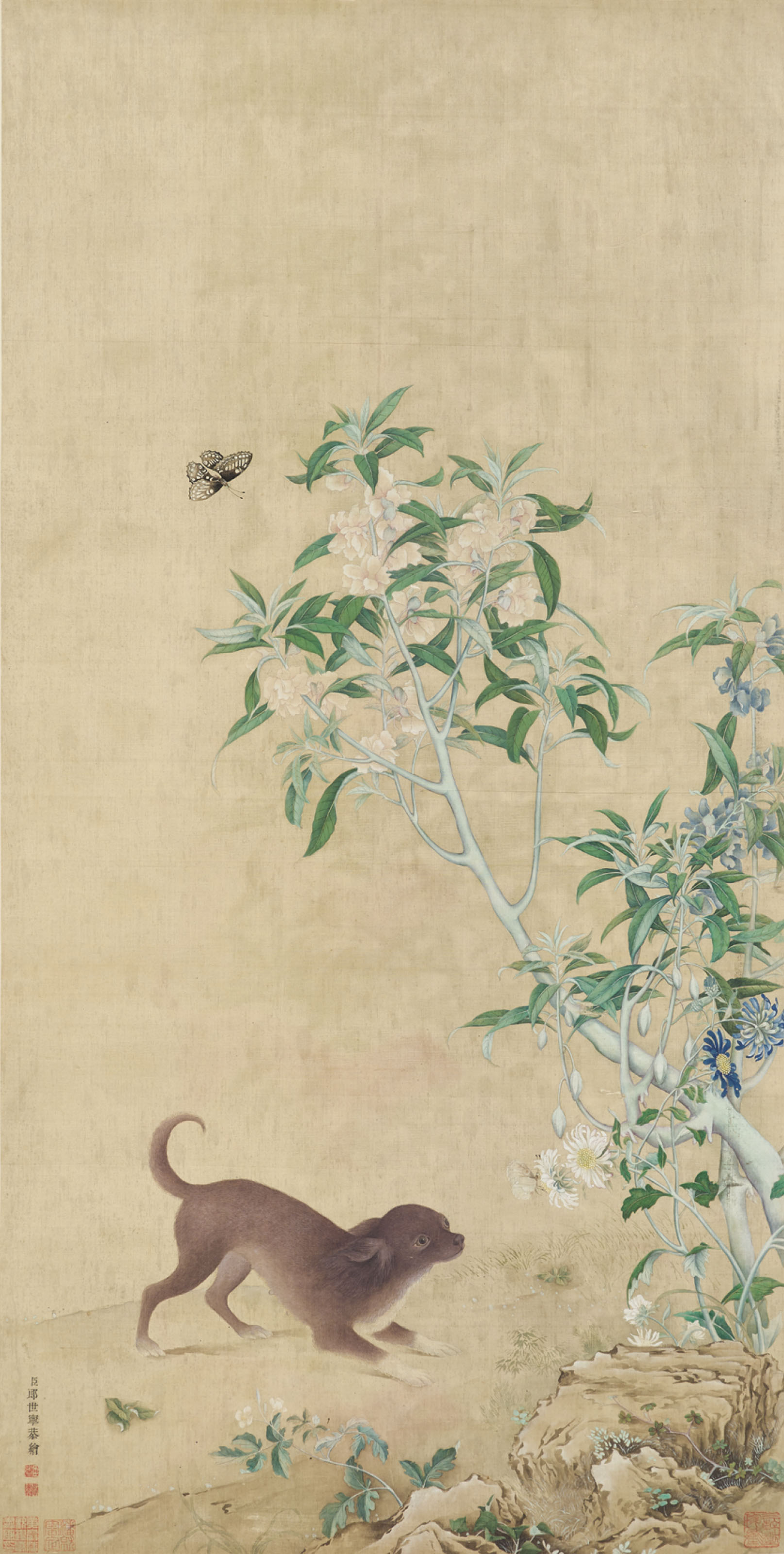 附有郎世寧簽名犬吠花影圖設色絹本立軸, Puppy under Flowering