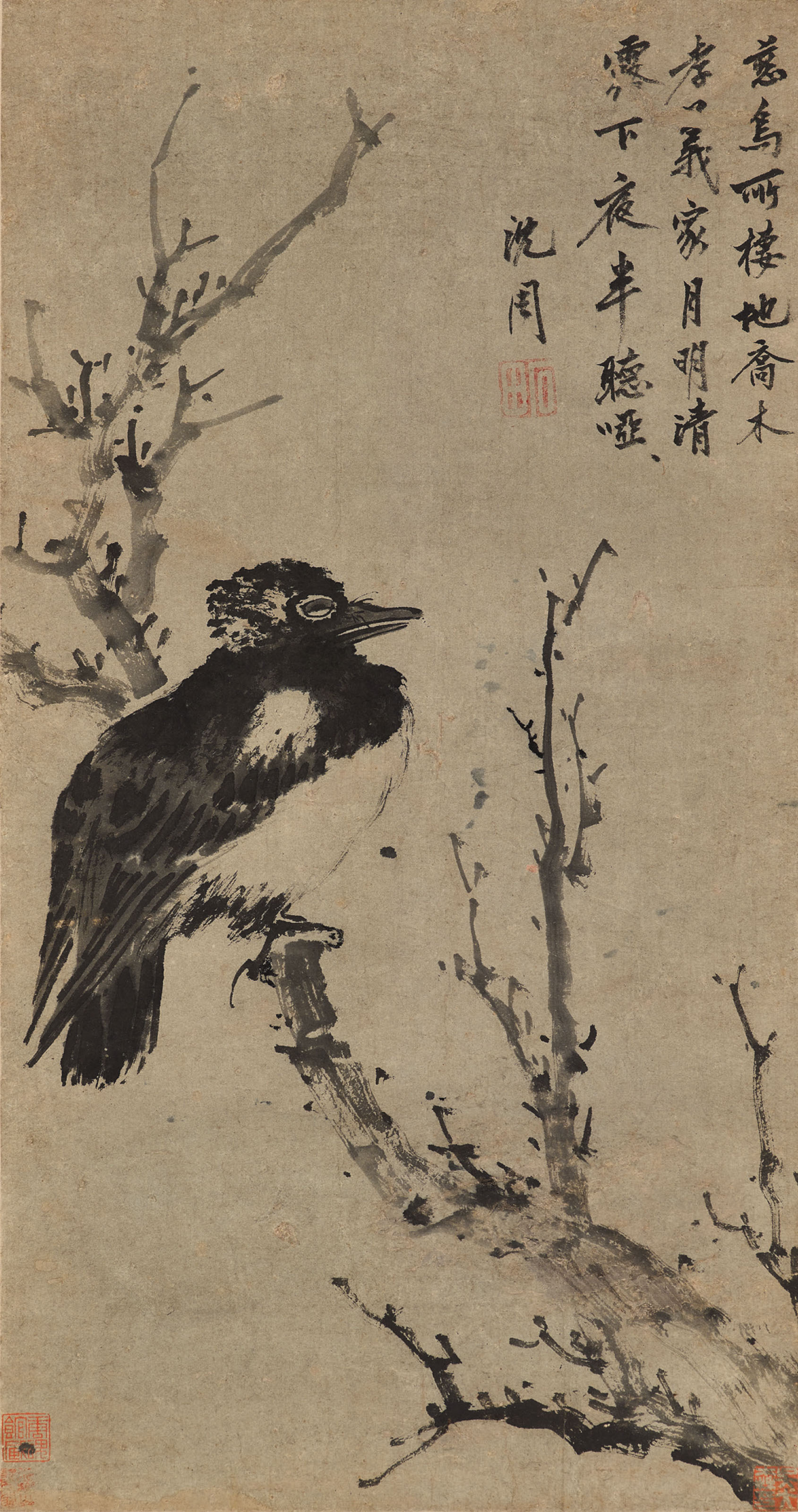 SHEN ZHOU (14271509)