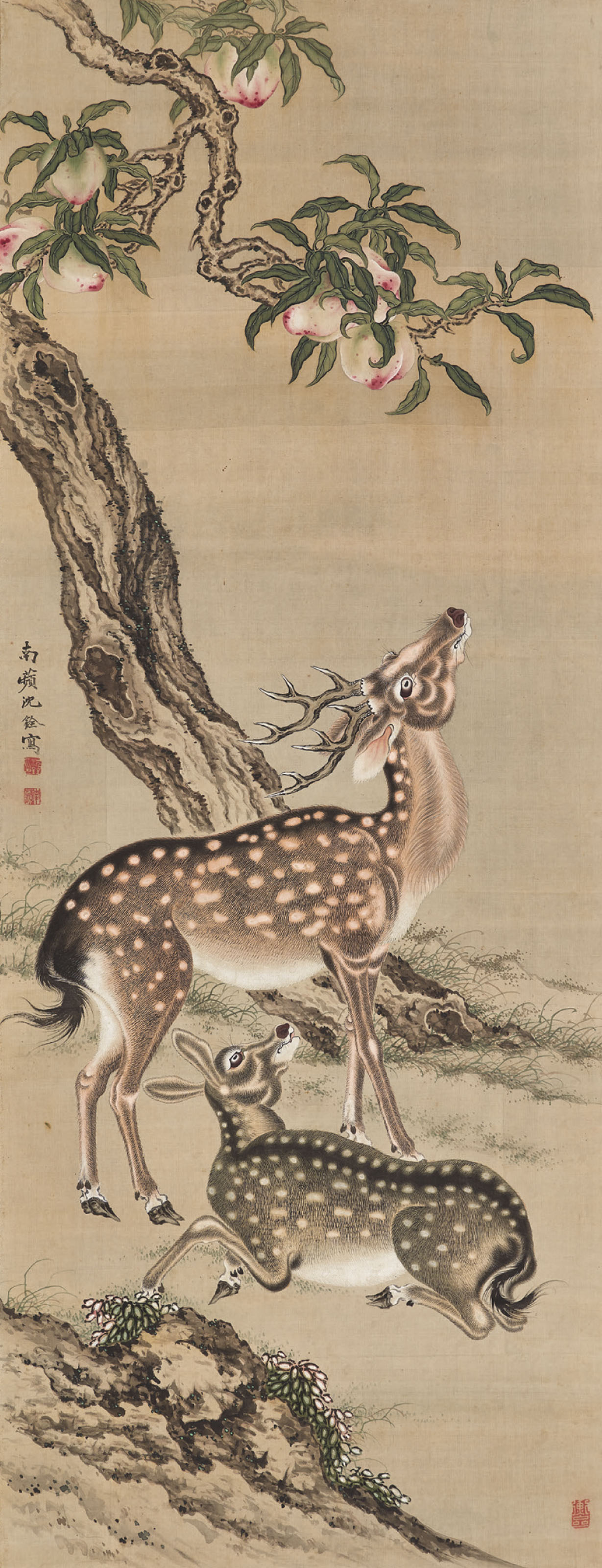 清沈銓繁花茂枝設色絹本立軸, Flower and Cat | Christie's