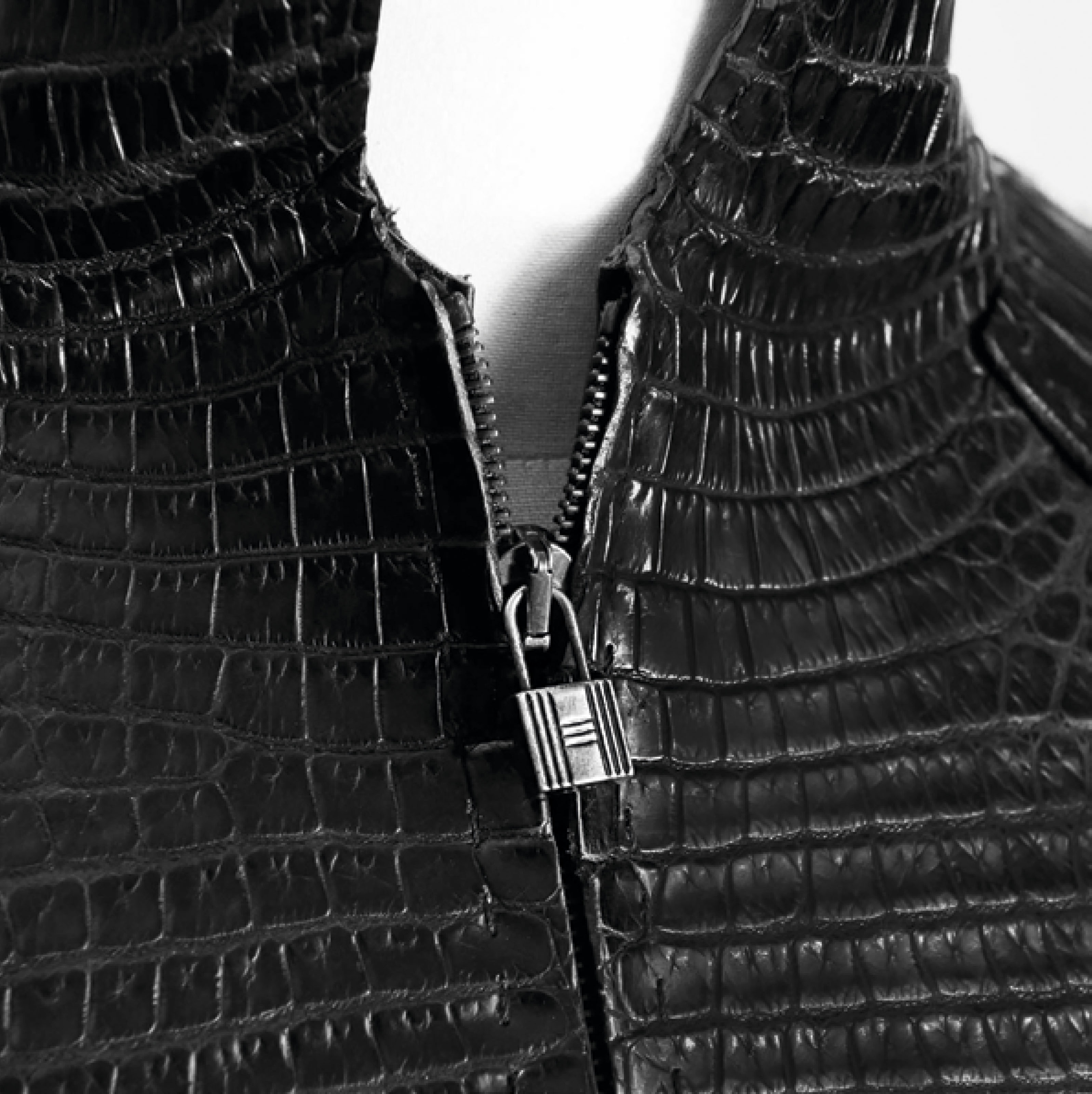 hermes crocodile jacket