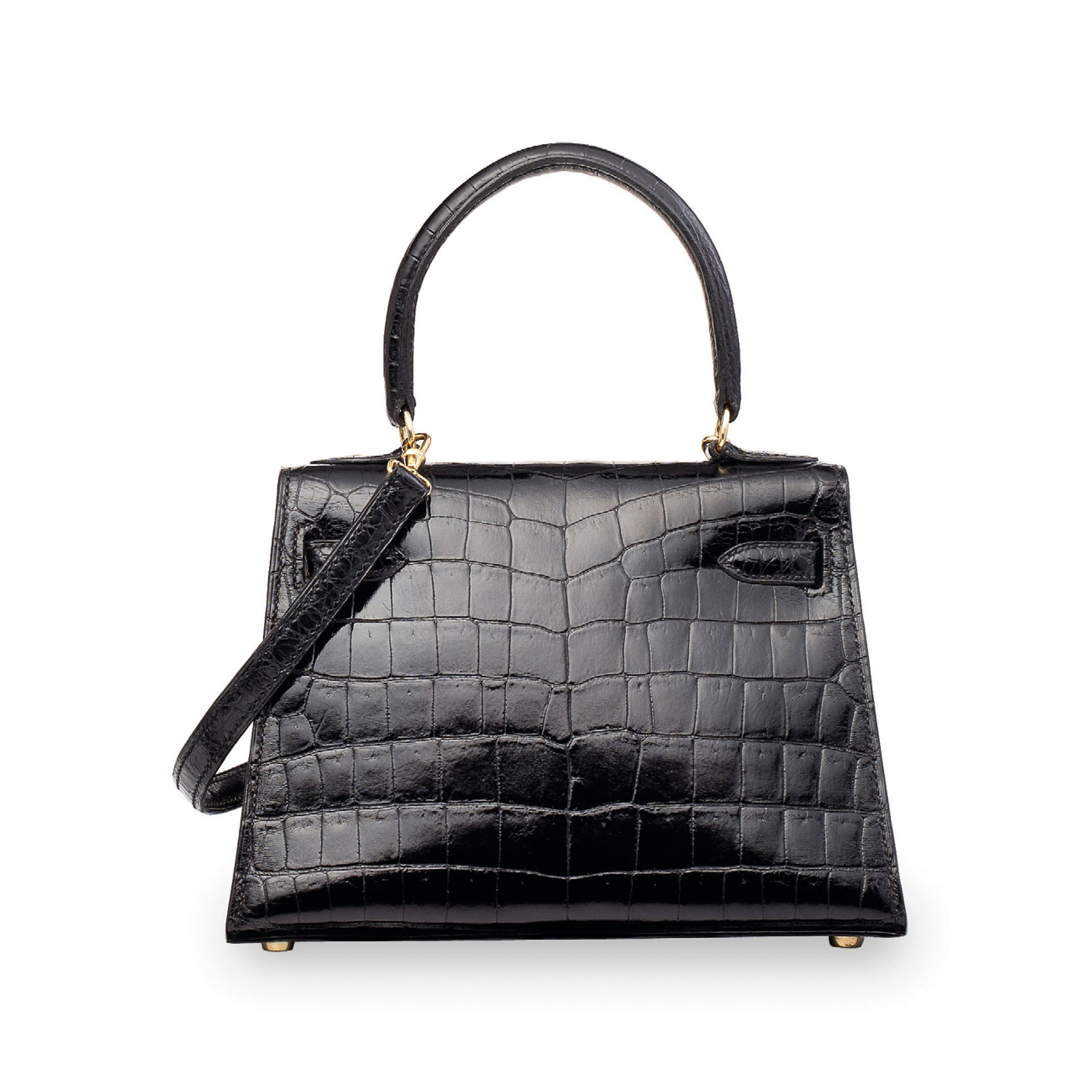 Mini kelly 2025 crocodile price