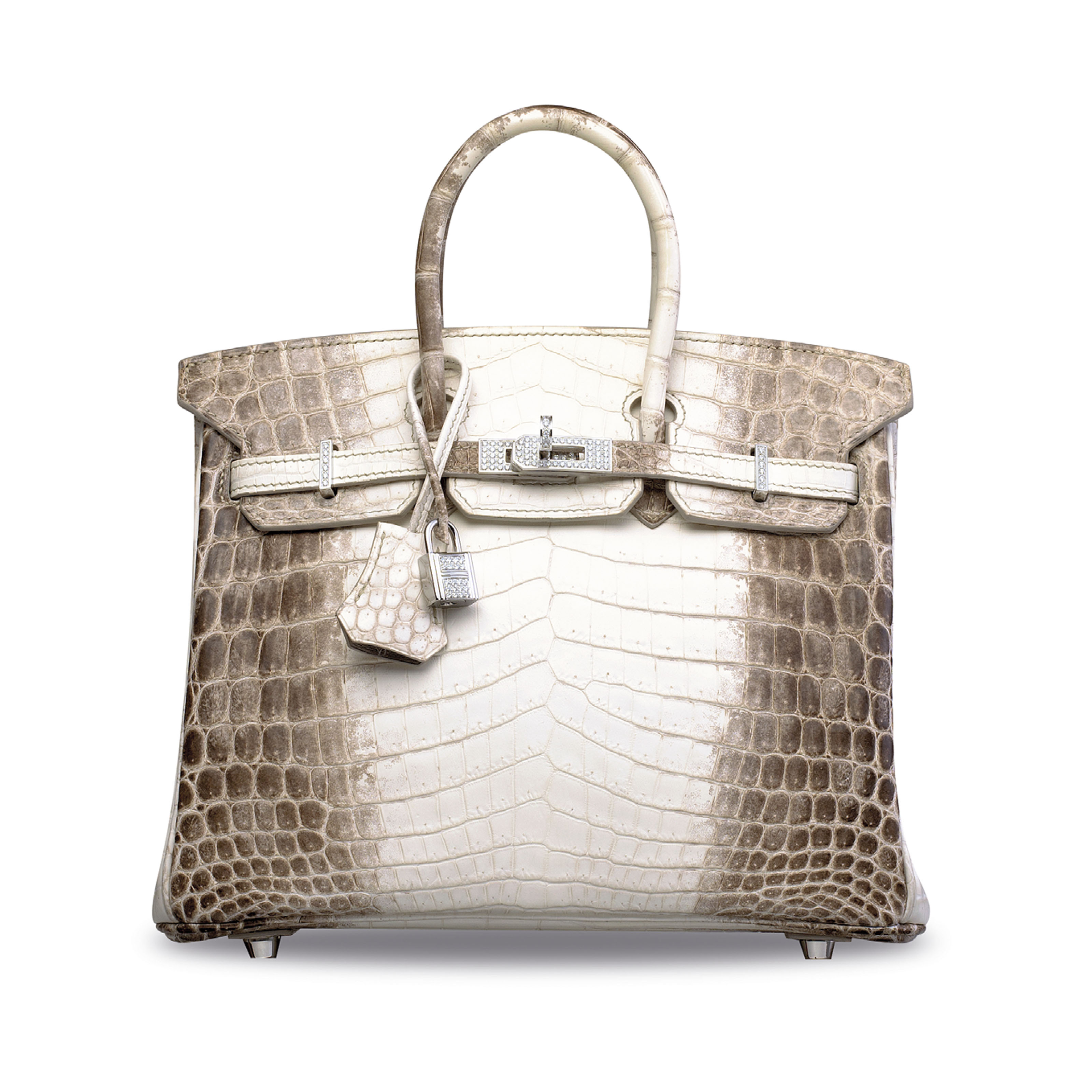 Himalayan crocodile birkin with white gold discount detailing and 245 diamonds price