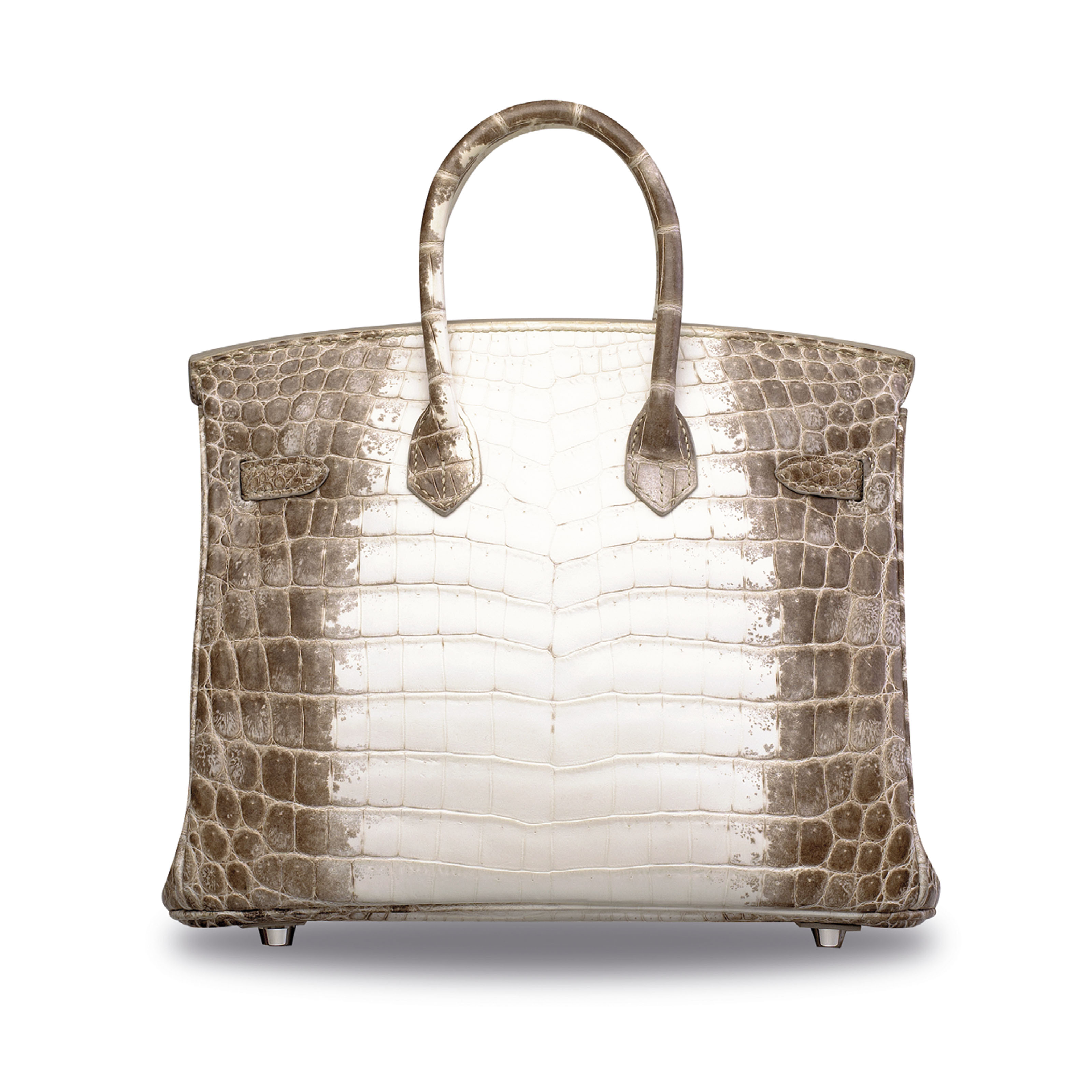 crocodile diamond birkin