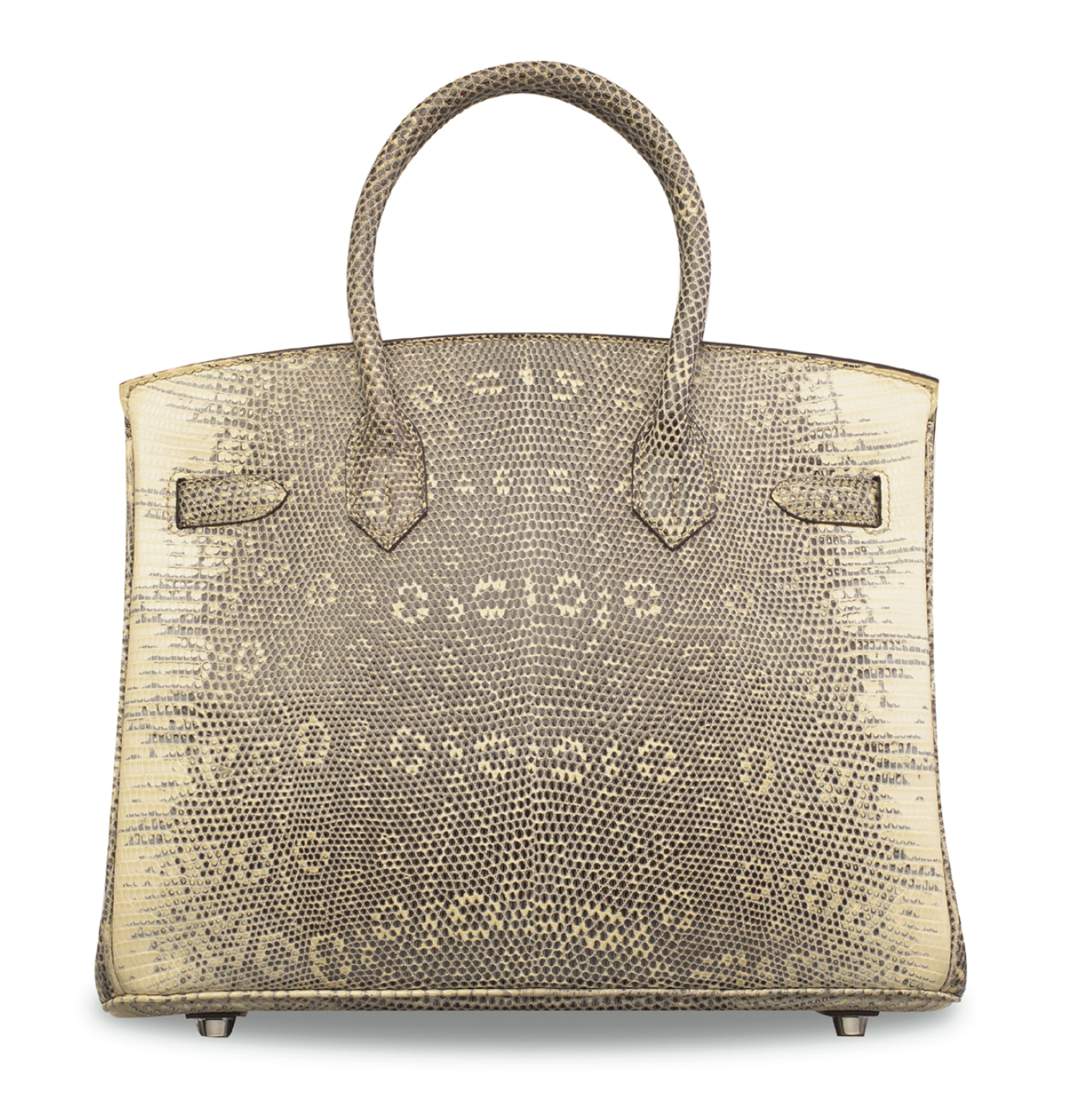 Ombre best sale lizard birkin