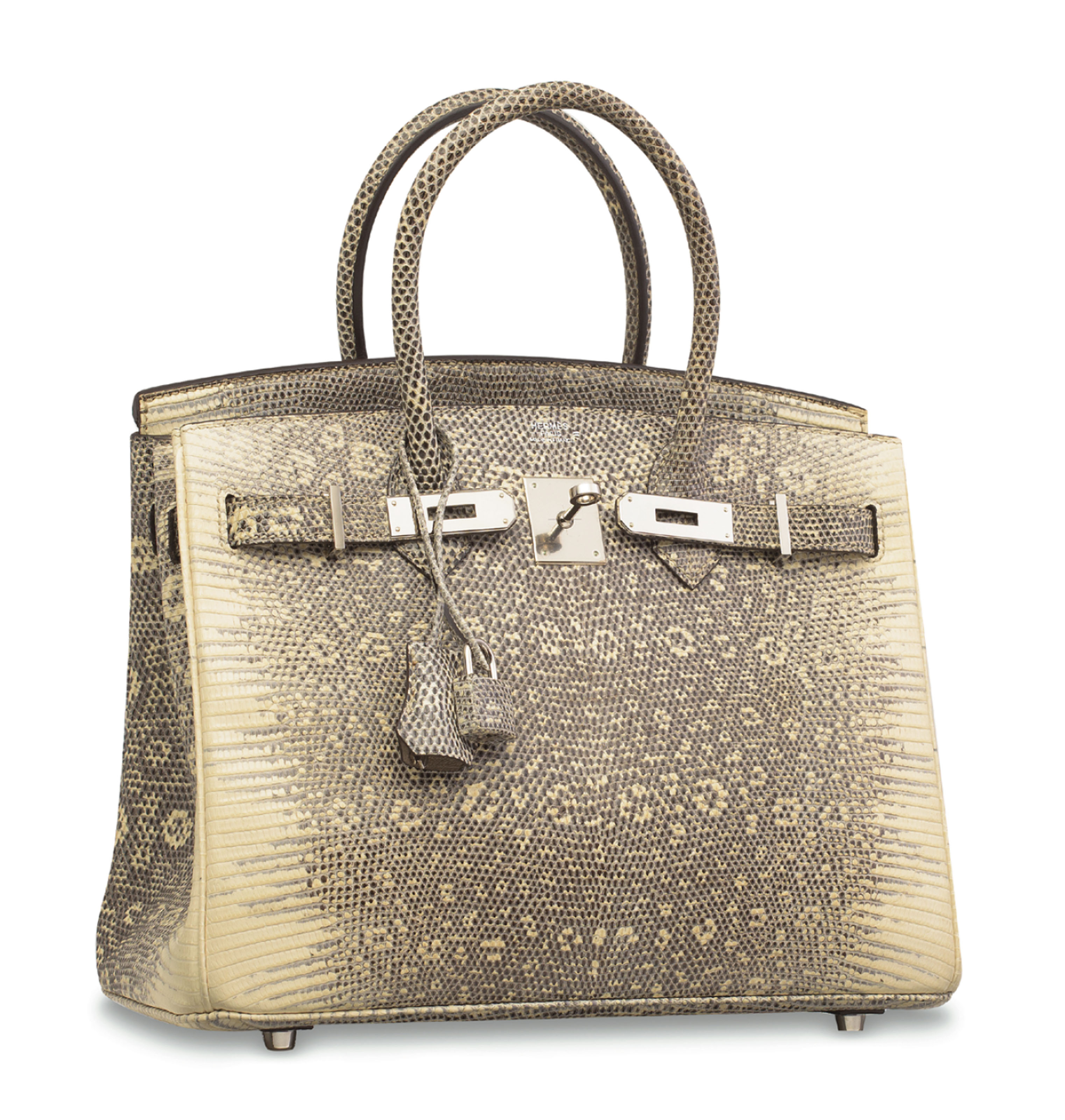 ombre lizard birkin