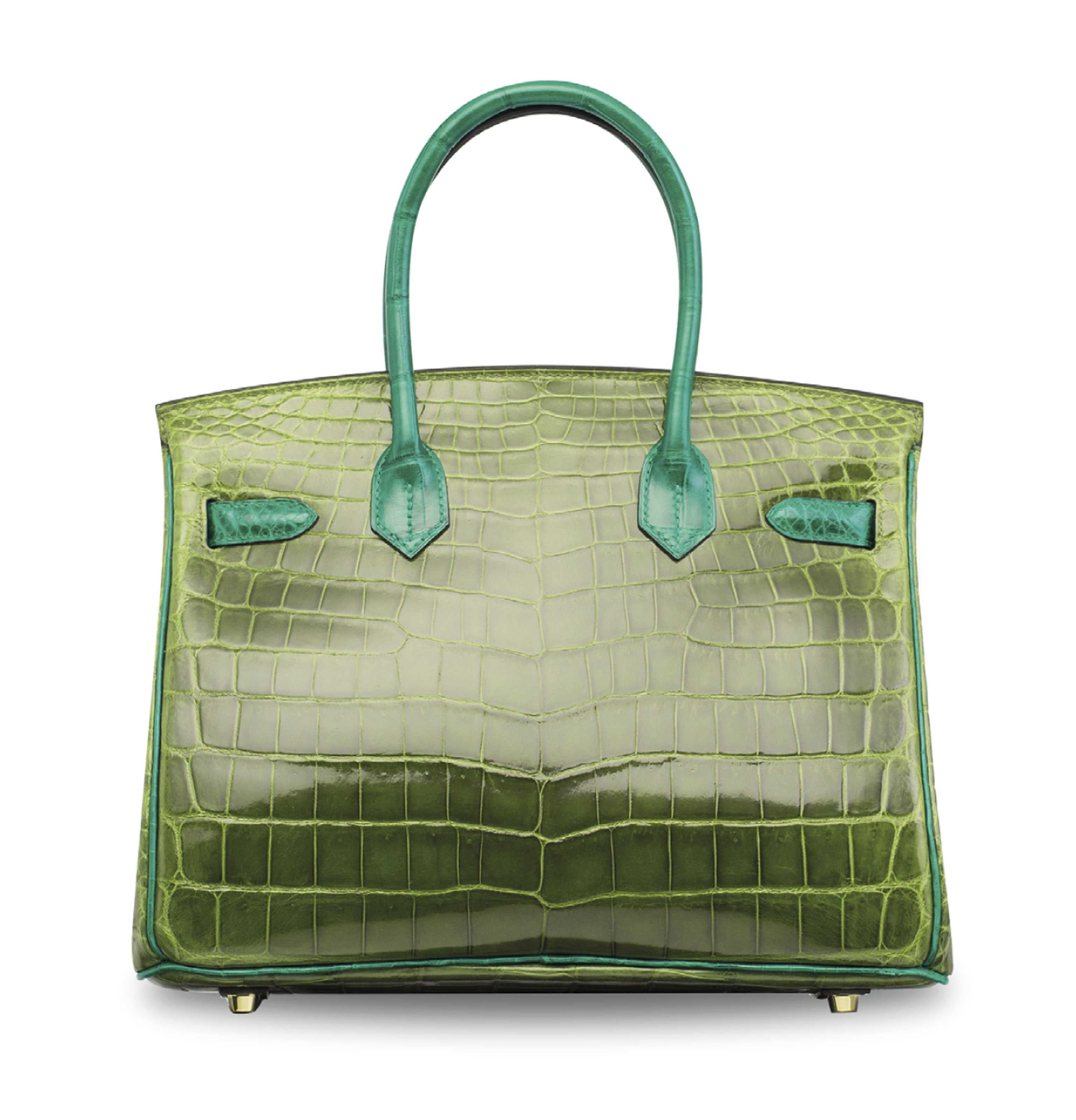 LISA 18 - CROCODILE VERT VERONESE