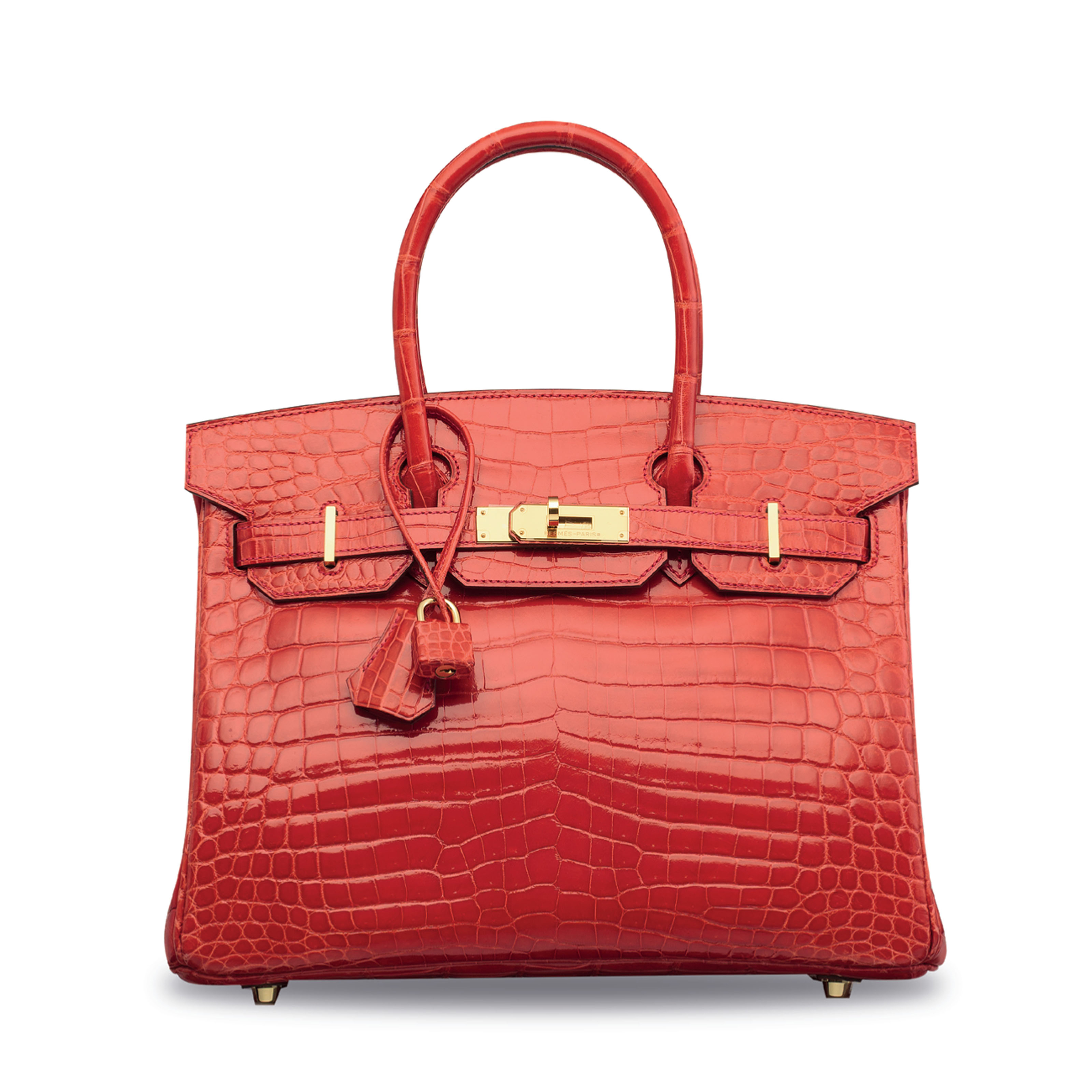 birkin 30 crocodile price