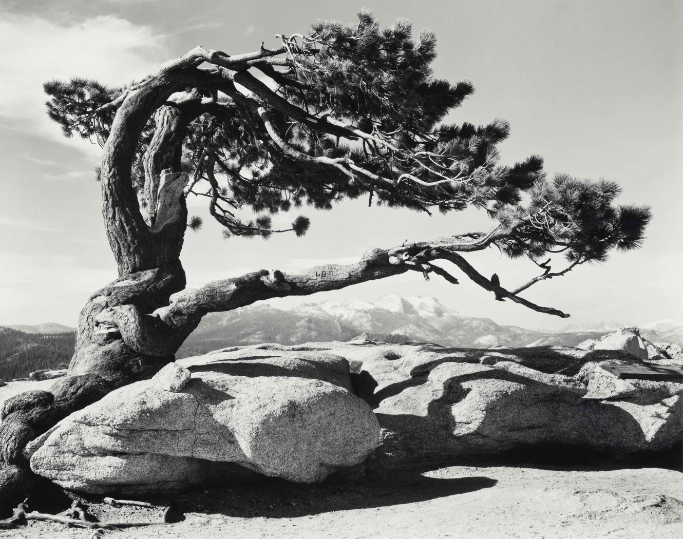 Ansel Adams (1902-1984)