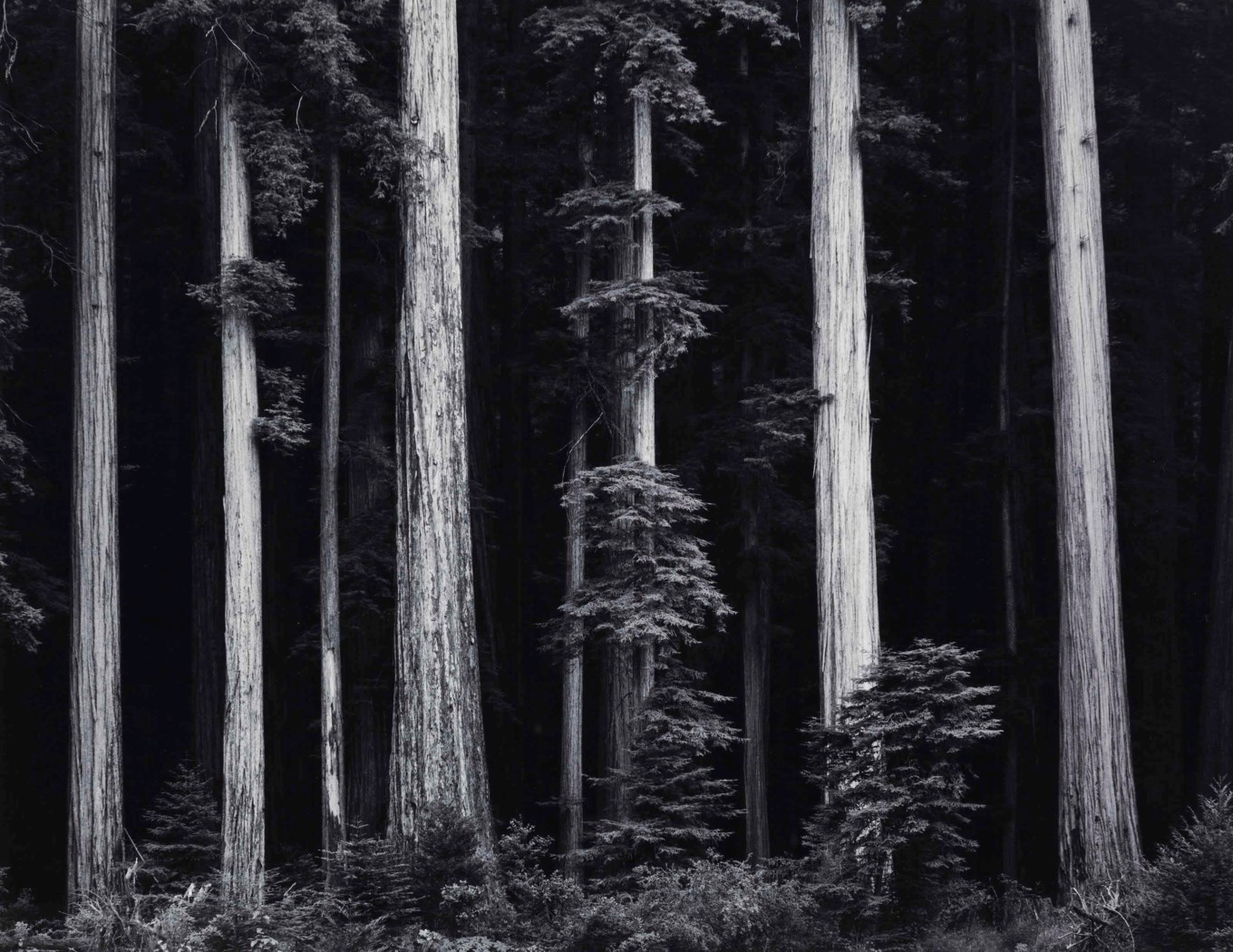 Ansel Adams (1902-1984)
