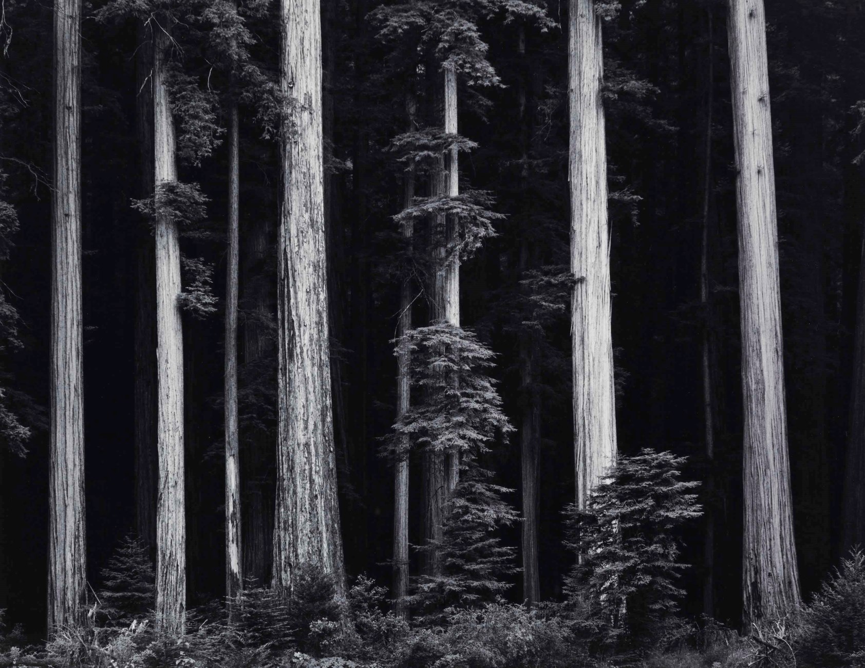 Ansel Adams (1902-1984)